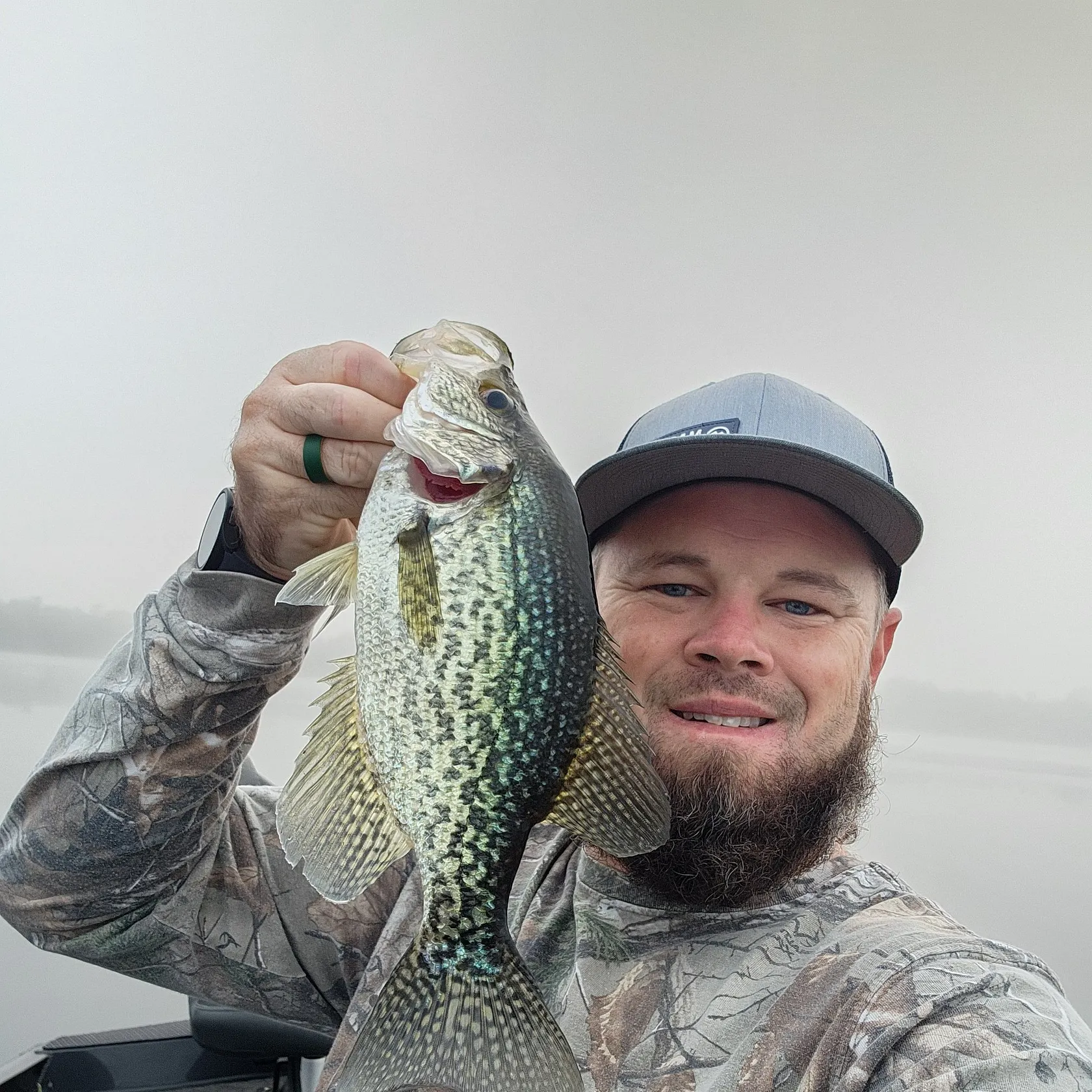 Black crappie caught on Fishbrain