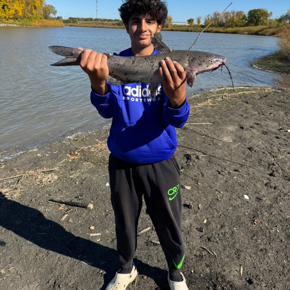 Channel catfish caught on Fishbrain