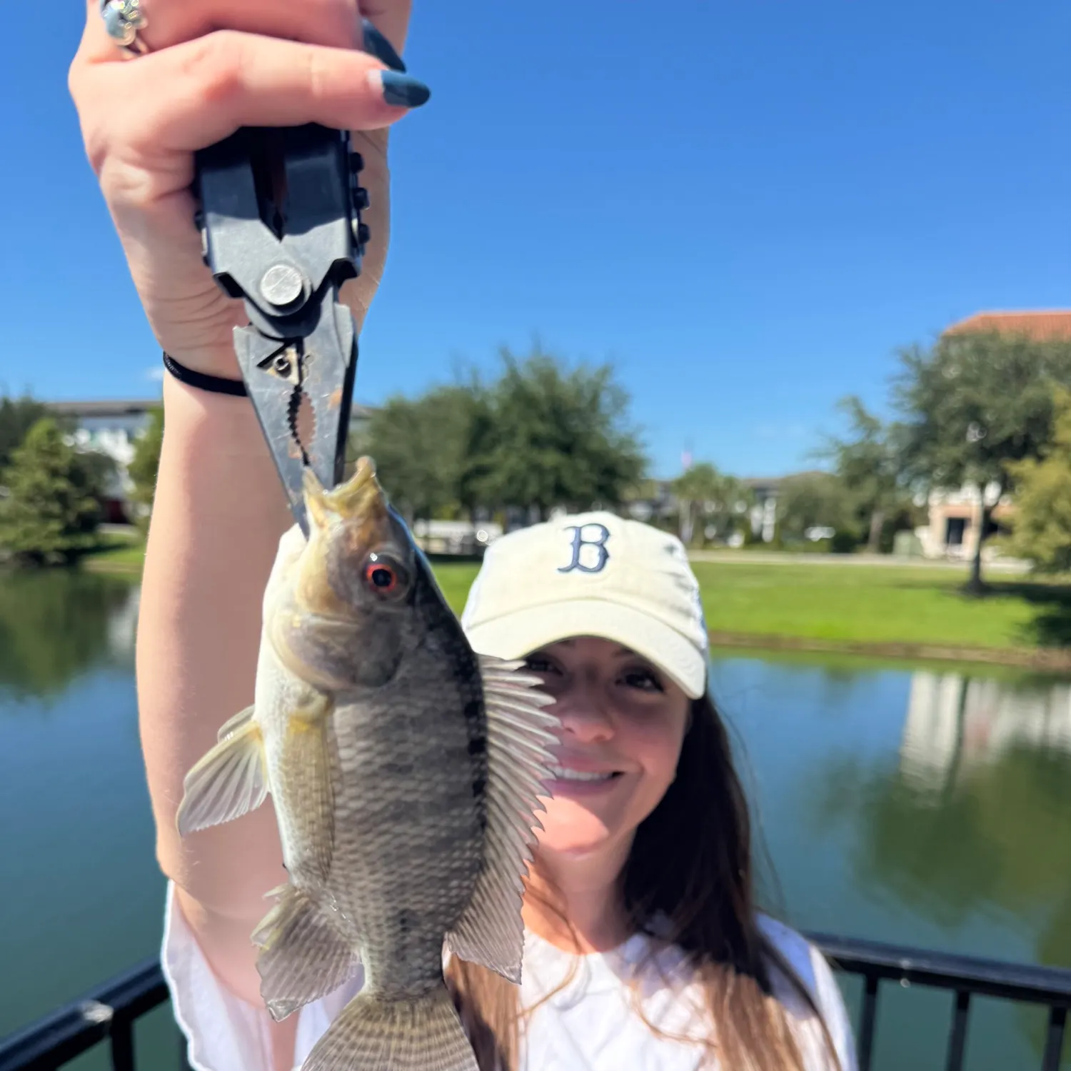 Nile tilapia caught on Fishbrain