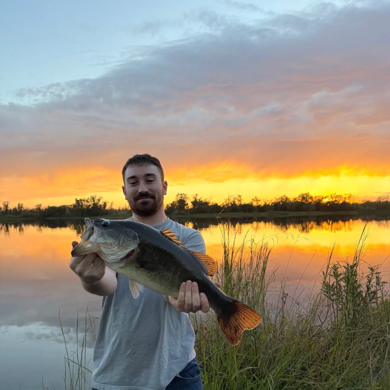 Largemouth bass caught on Fishbrain