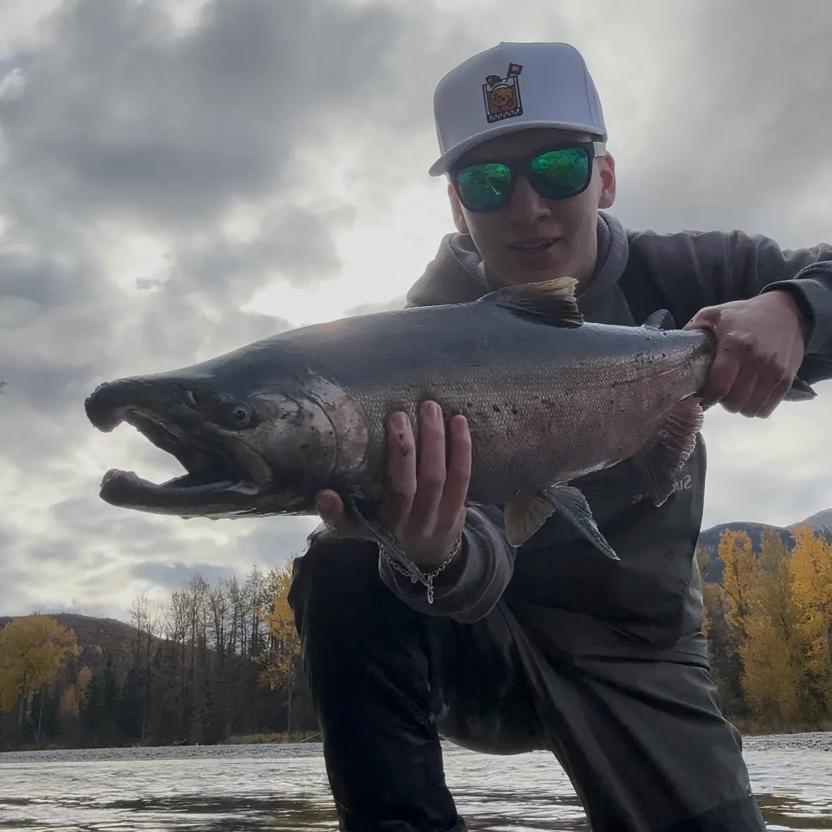 Chinook salmon caught on Fishbrain