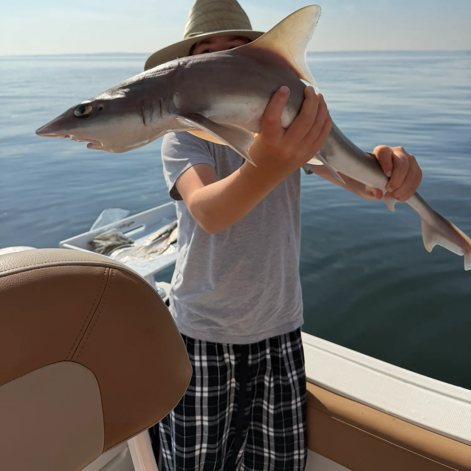 The most recent Dusky smooth-hound catches on Fishbrain
