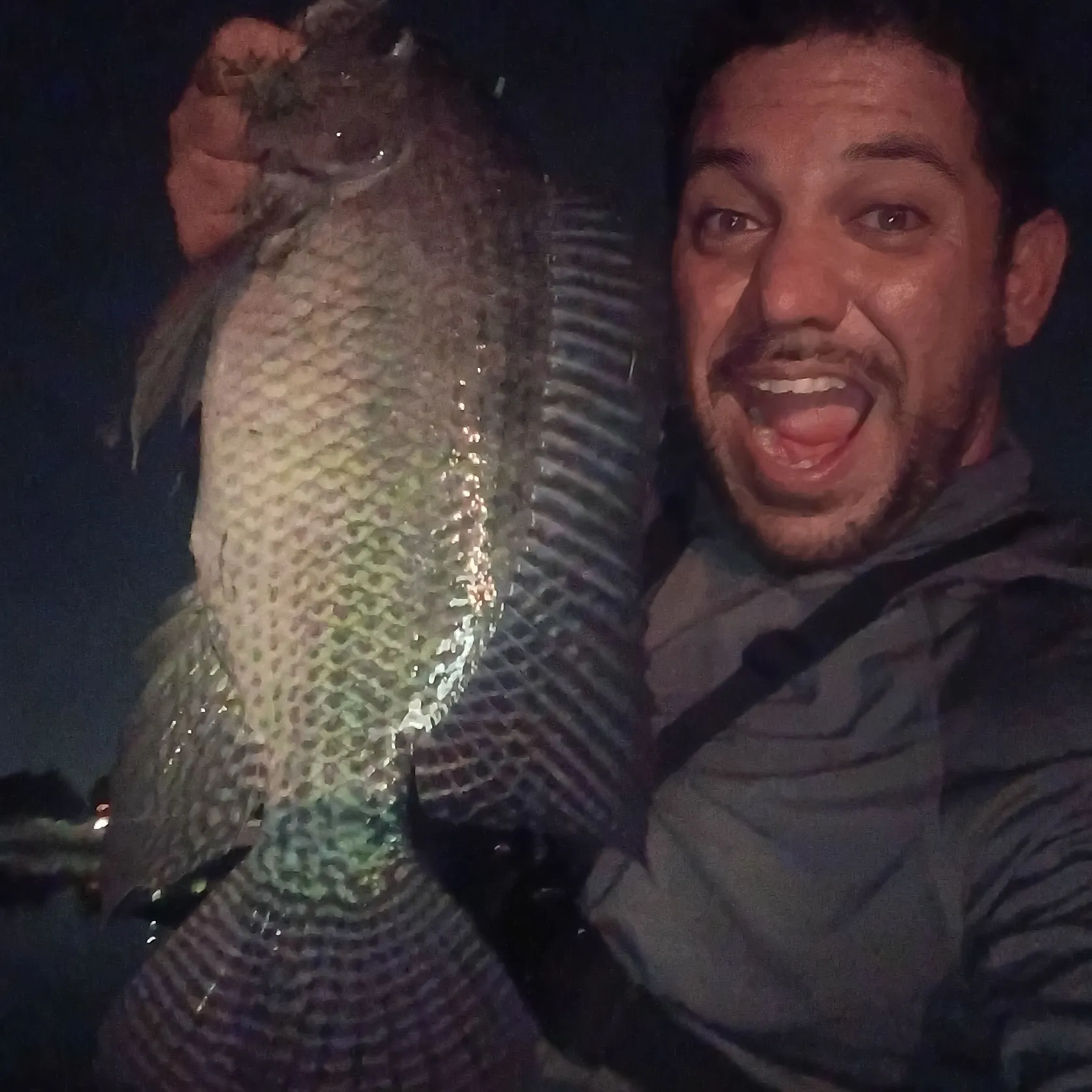 Nile tilapia caught on Fishbrain