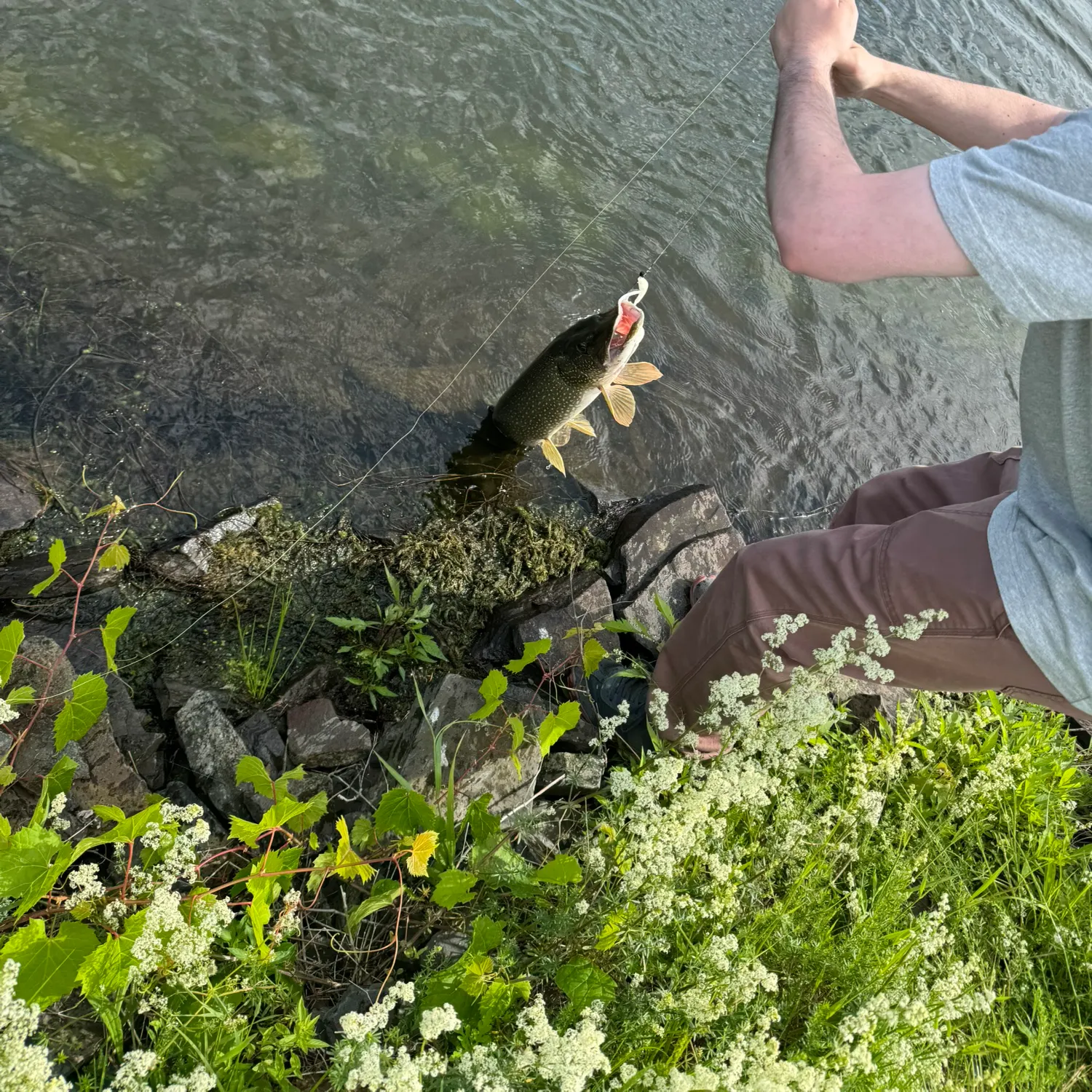 catch