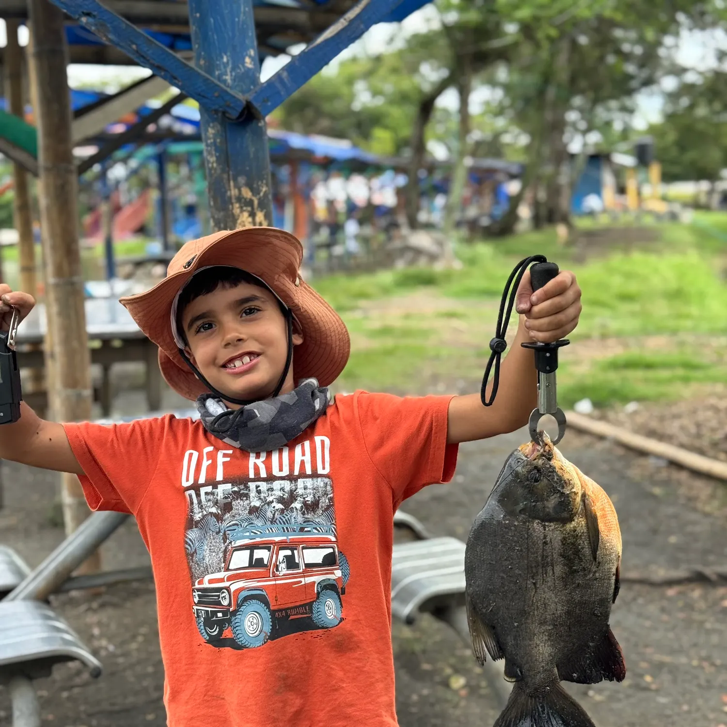 The most recent Black pacu catches on Fishbrain