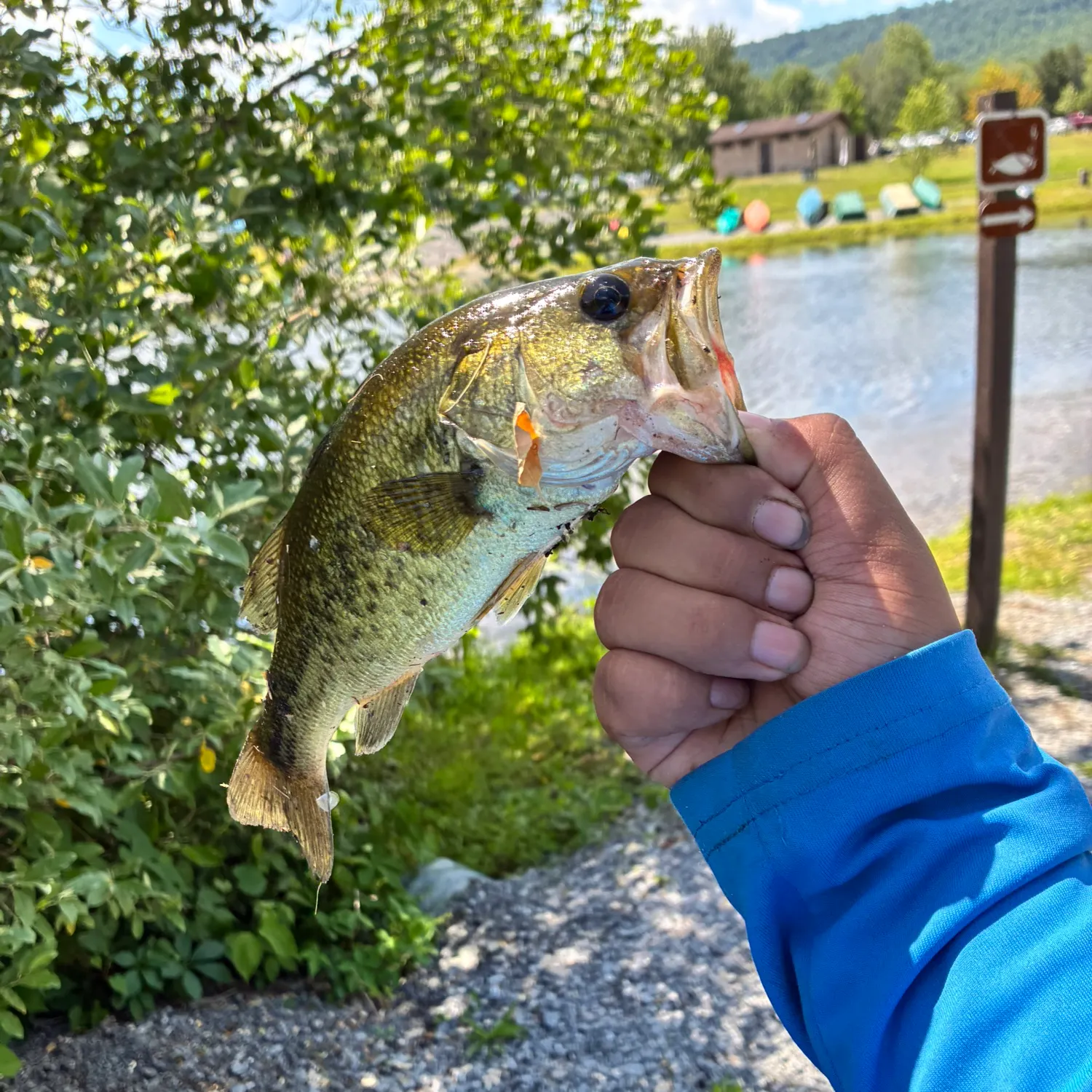 catch