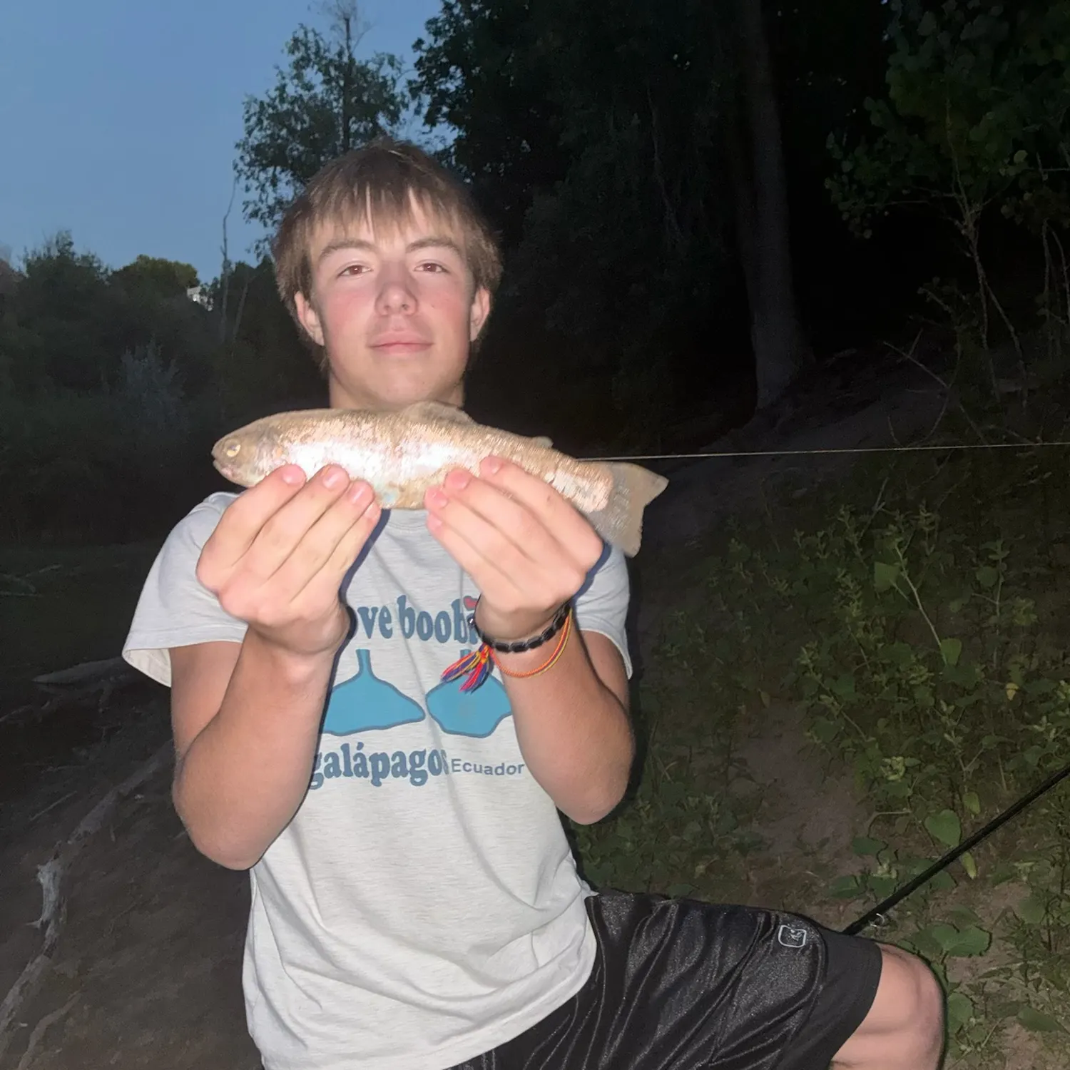 Rainbow trout caught on Fishbrain