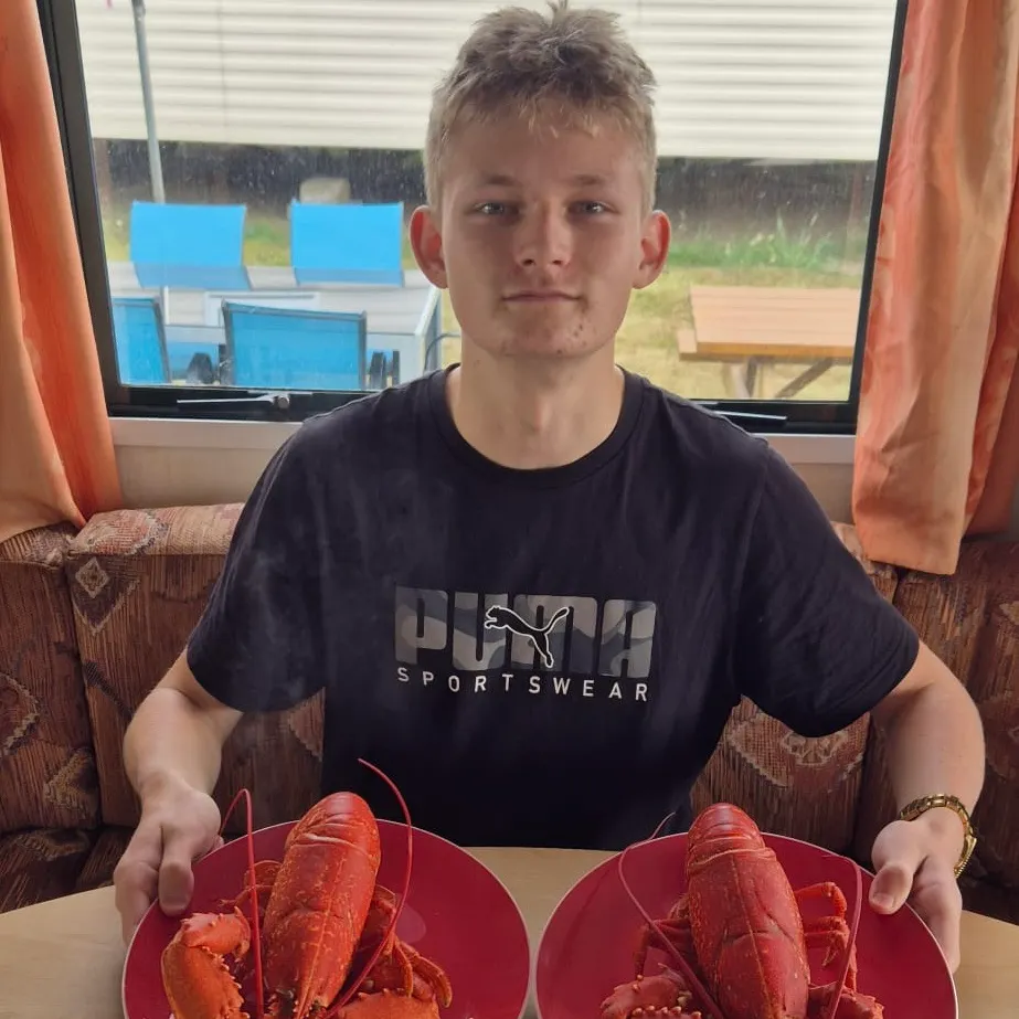 The most recent European lobster catches on Fishbrain