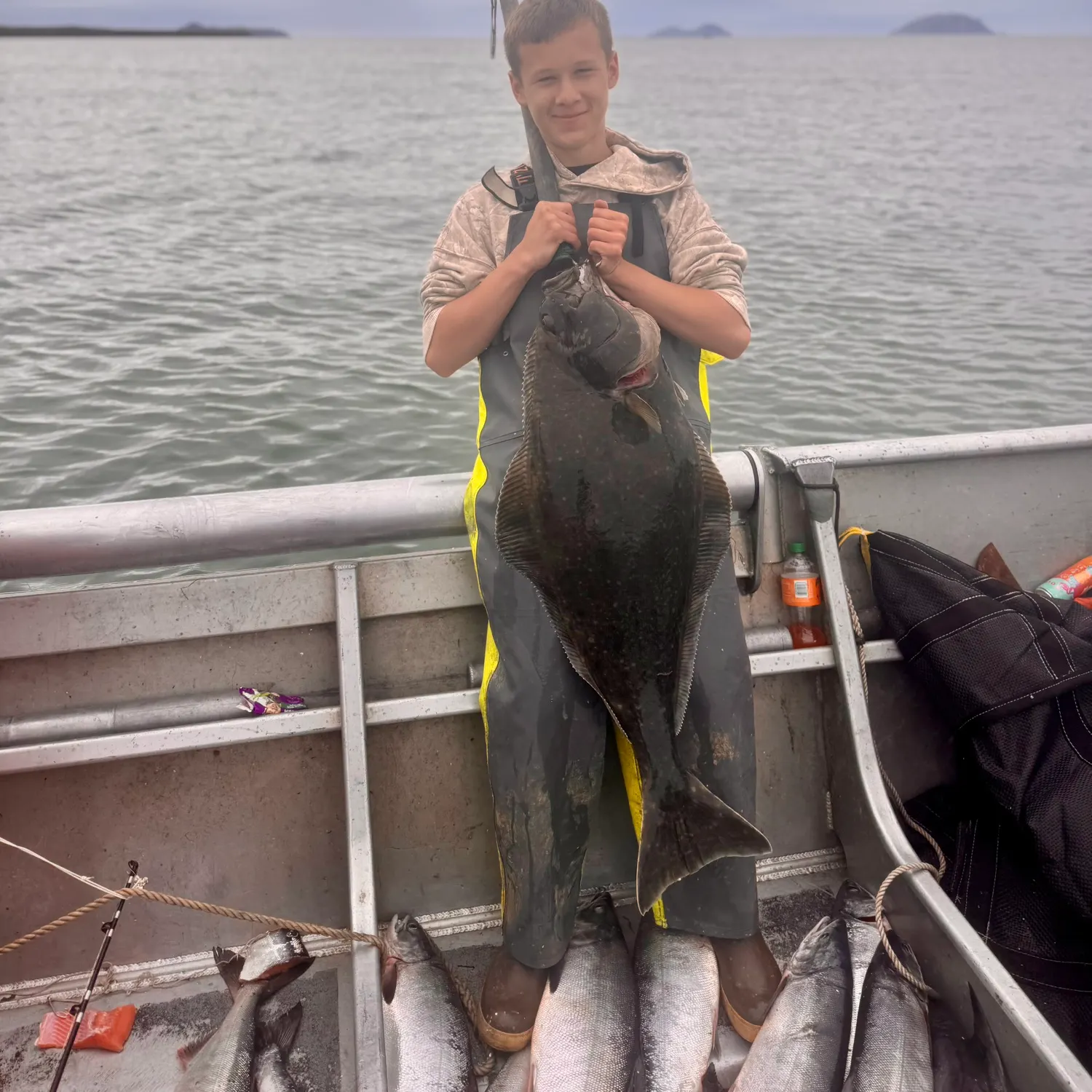 Pacific halibut caught on Fishbrain