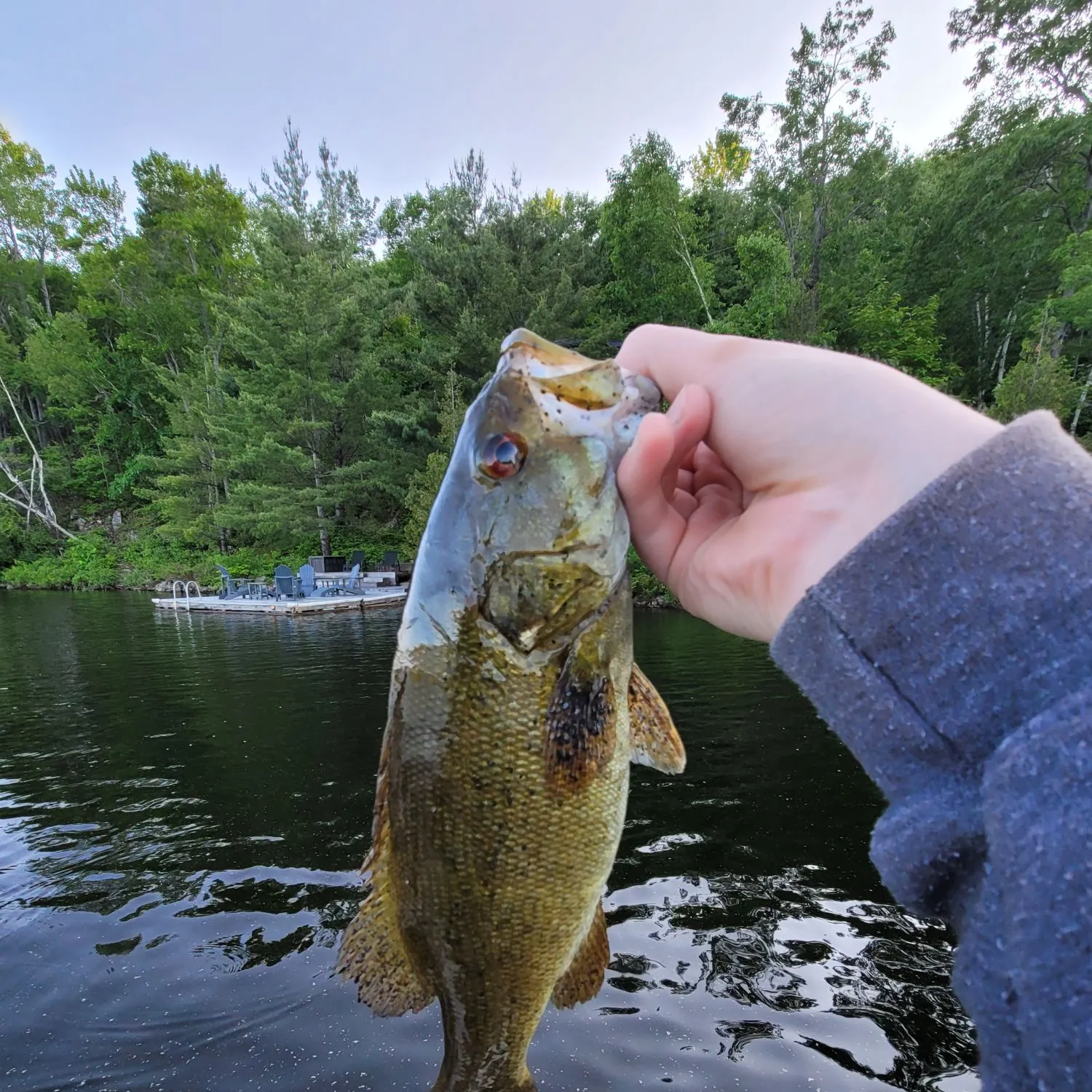 most liked catch image