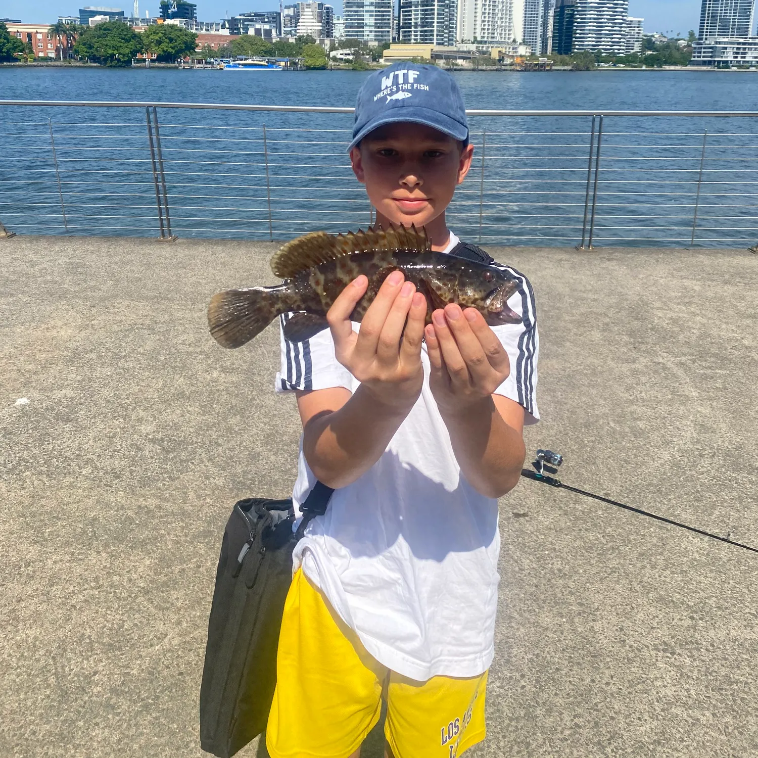 The most recent Orange-spotted grouper catches on Fishbrain