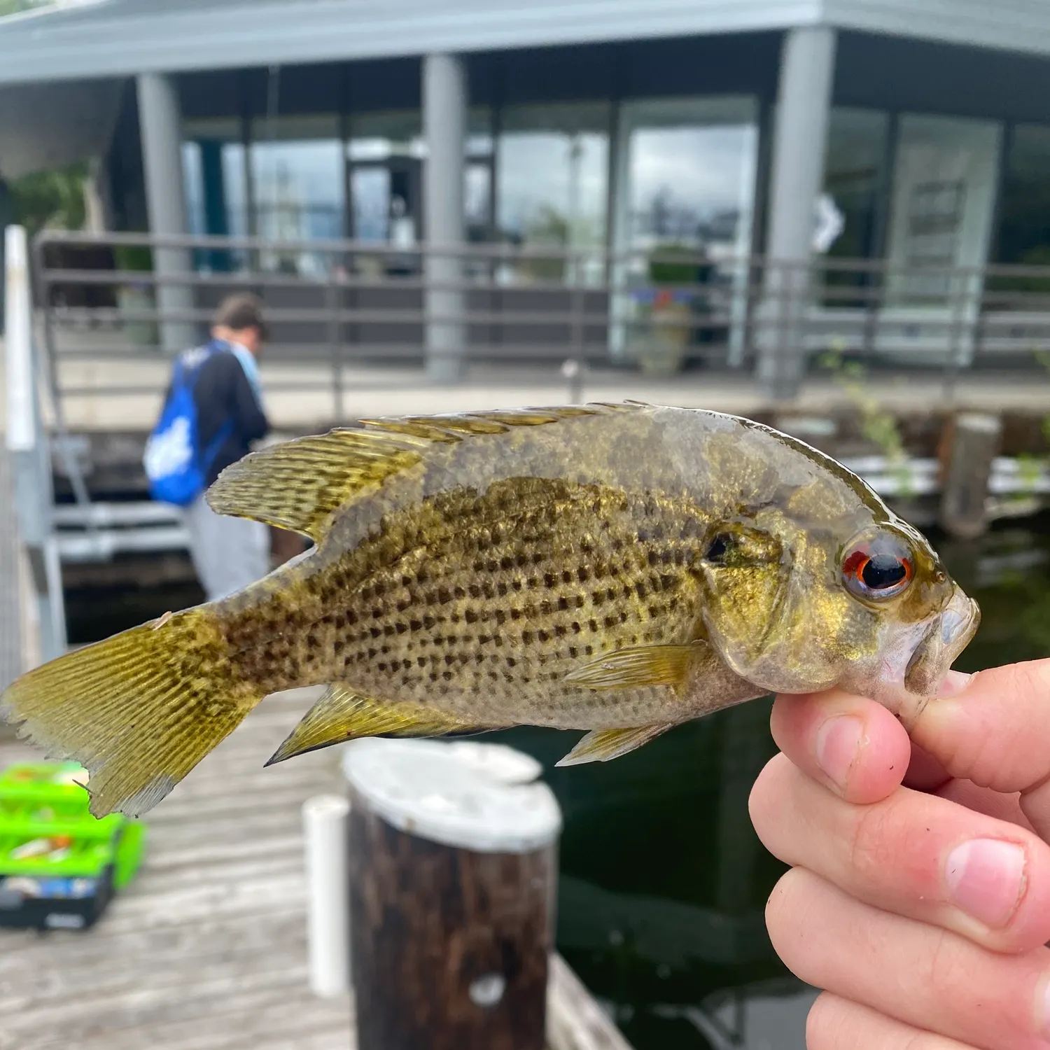 catch