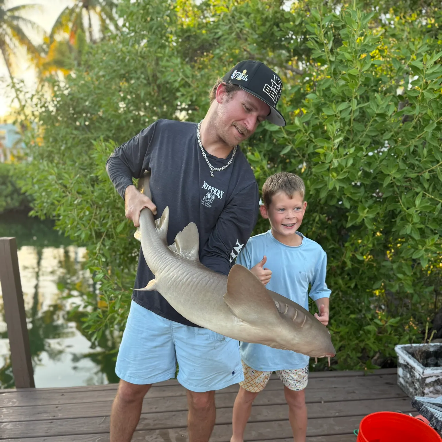 The most recent Nurse shark catches on Fishbrain