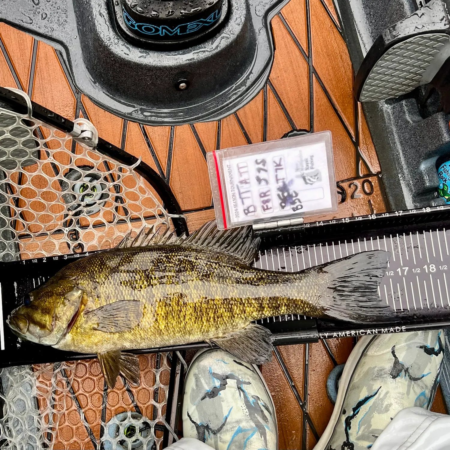 Smallmouth bass caught on Fishbrain