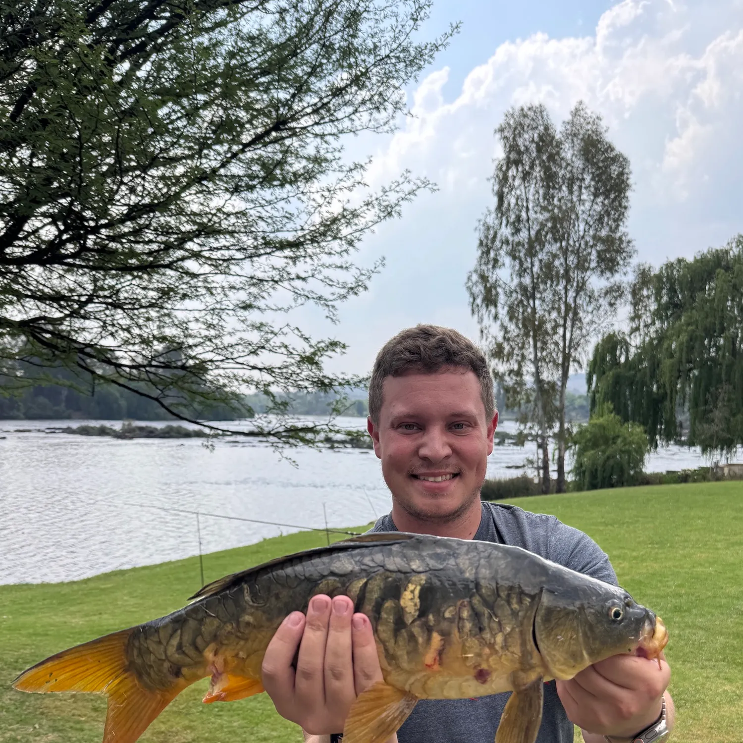 Mirror carp caught on Fishbrain