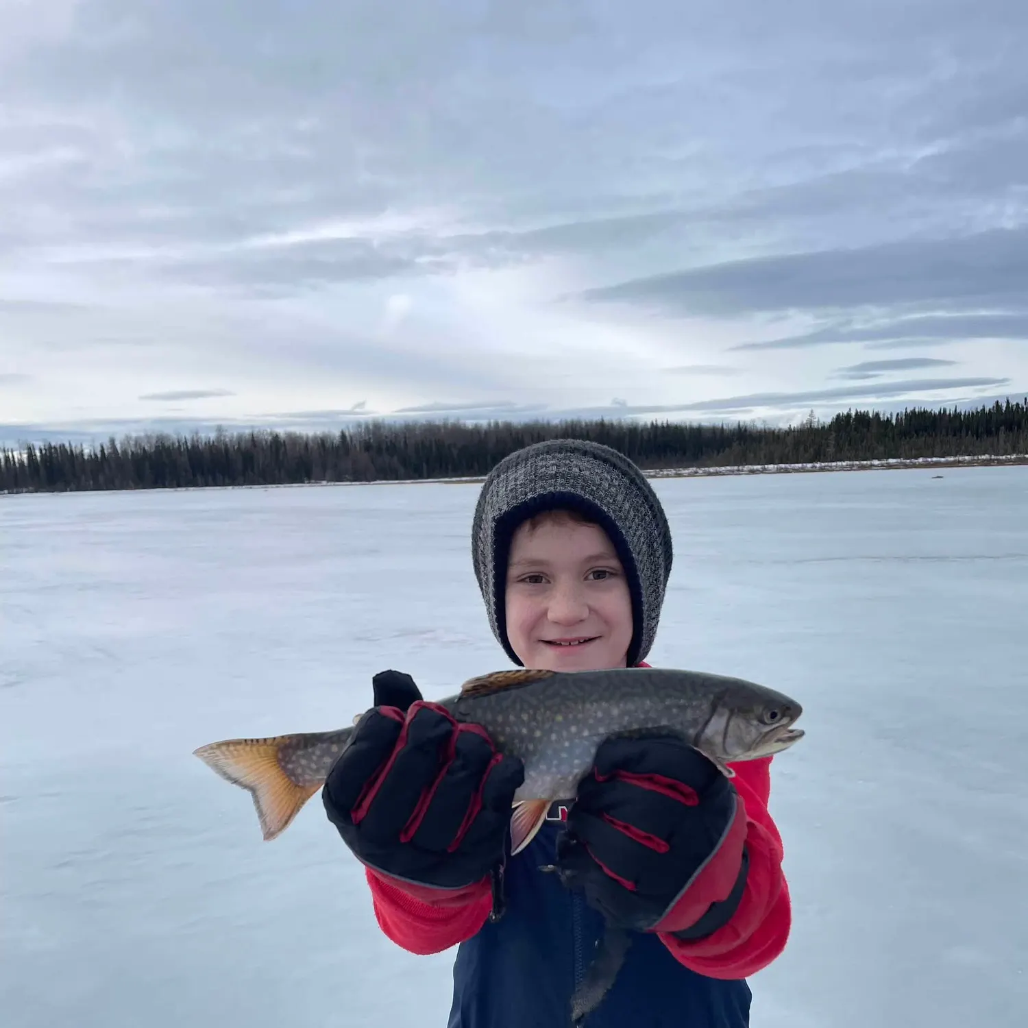 Brook trout caught on Fishbrain