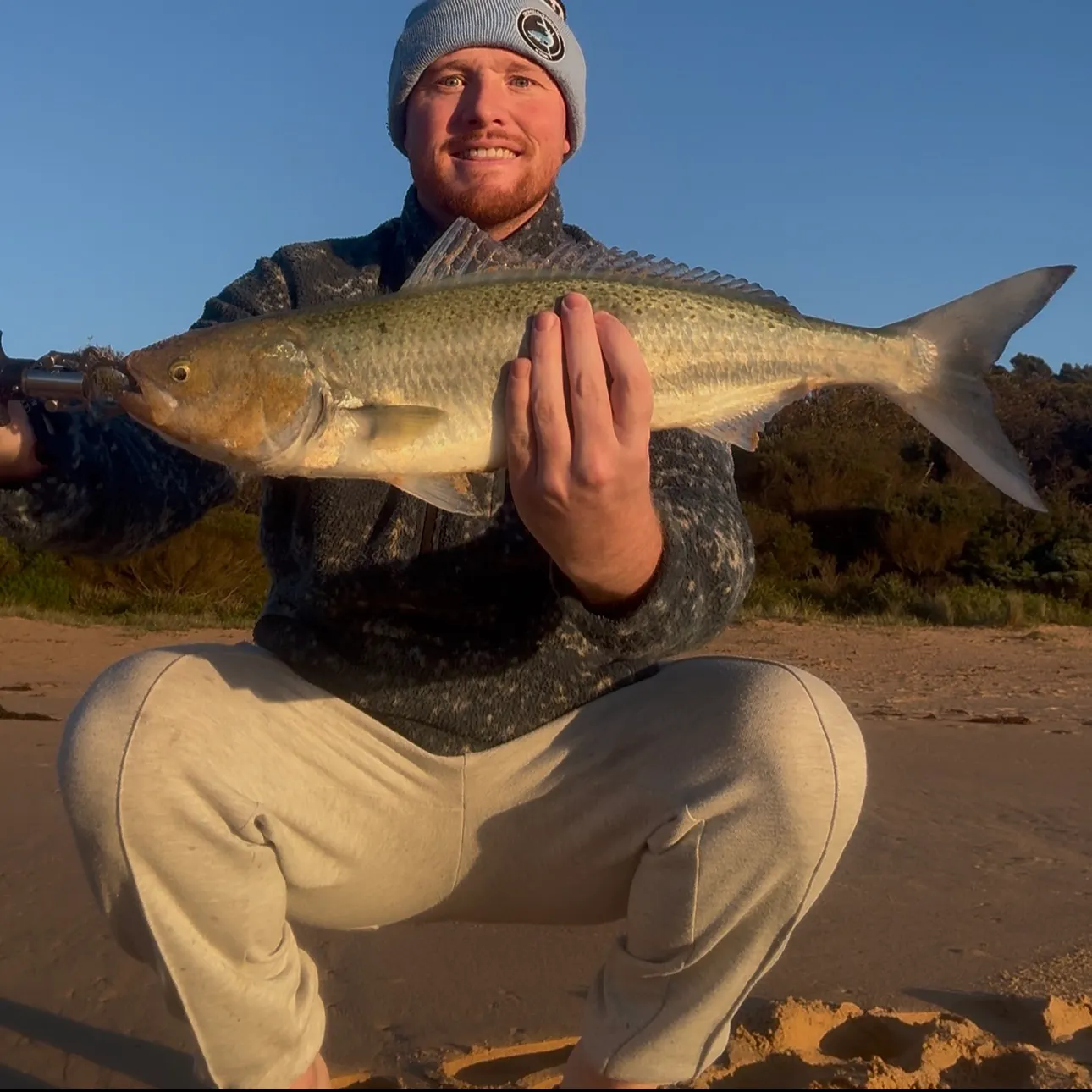 Eastern Australian salmon caught on Fishbrain