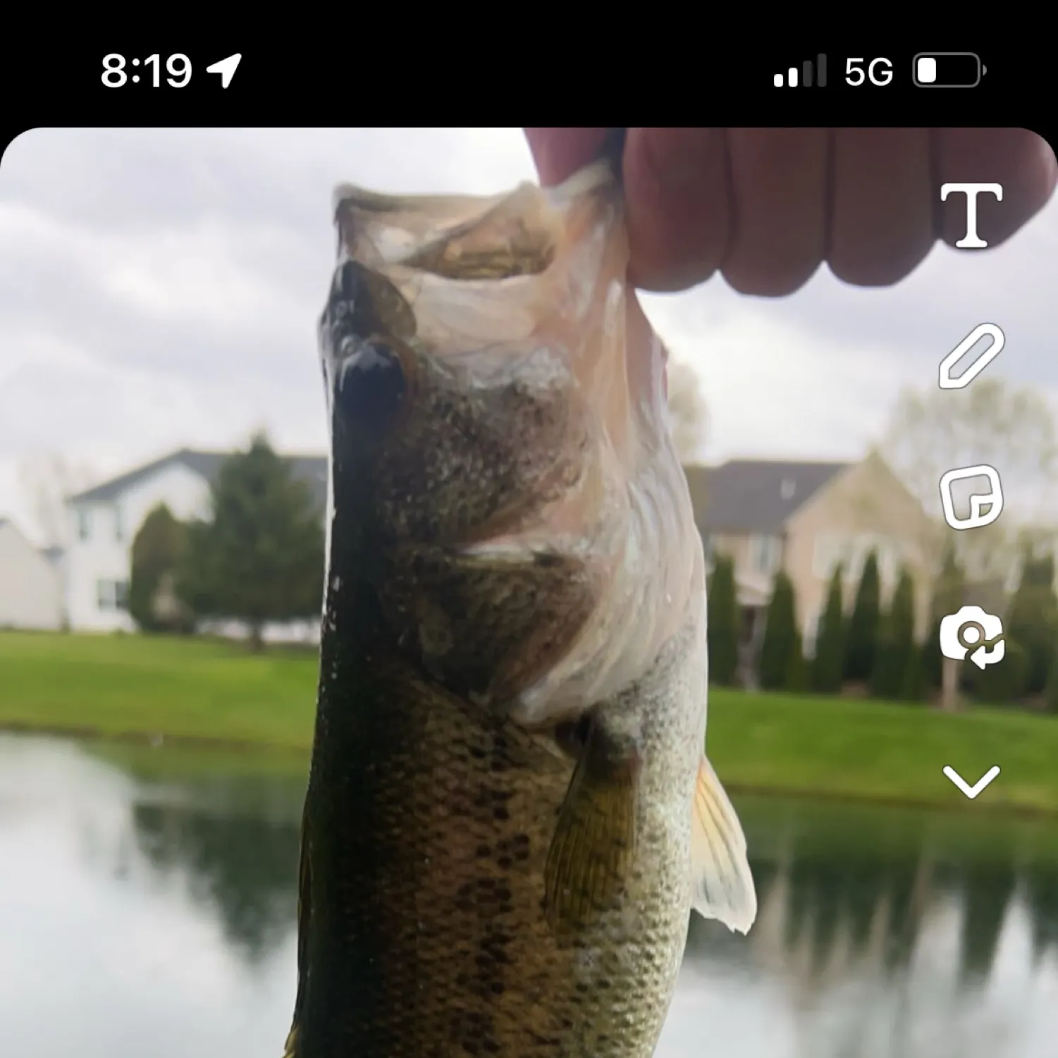 recently logged catches