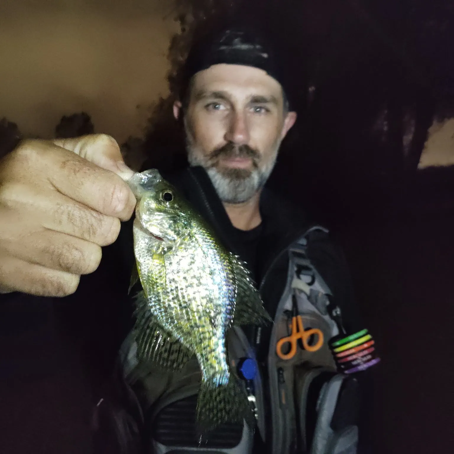 Black crappie caught on Fishbrain
