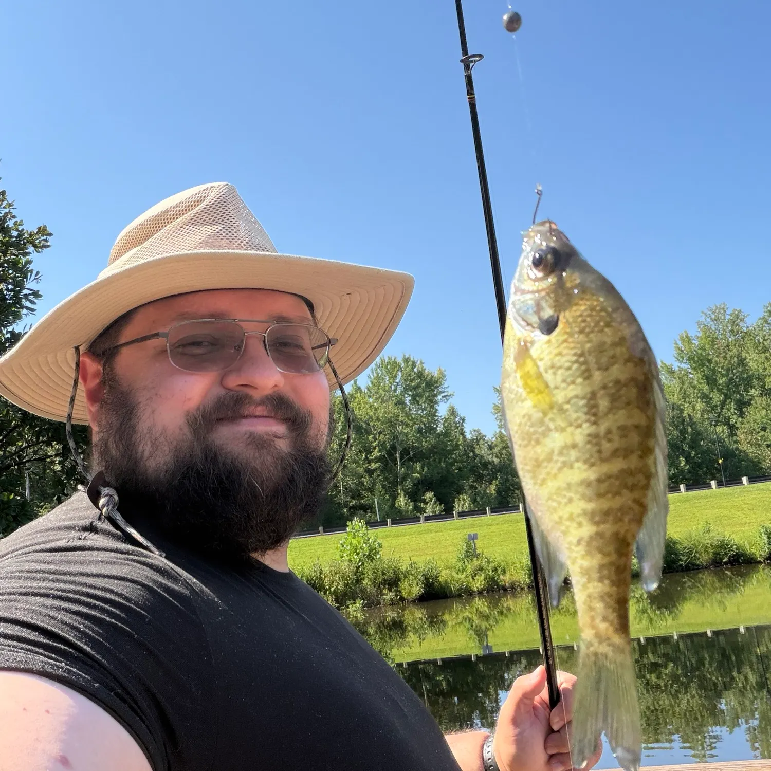 Bluegill caught on Fishbrain