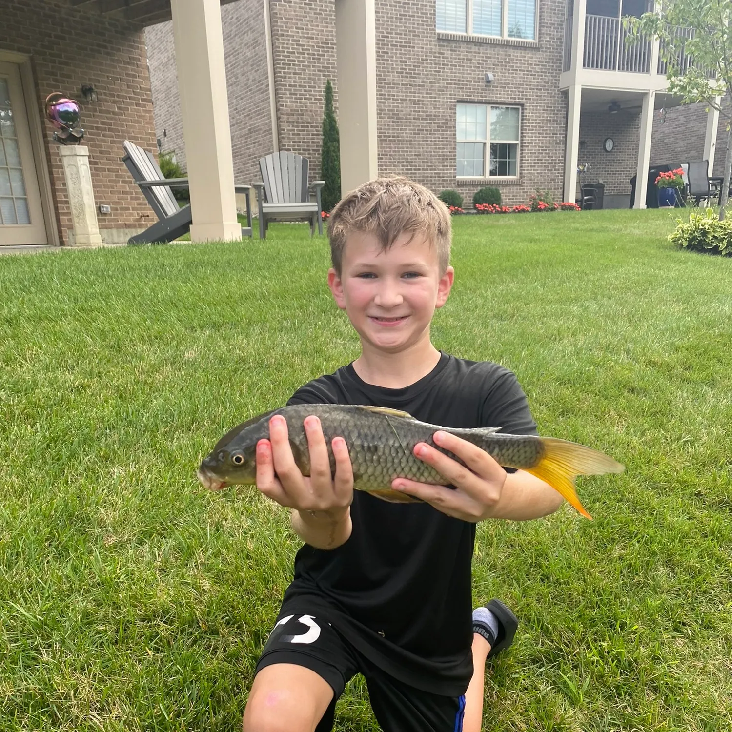 Common carp caught on Fishbrain