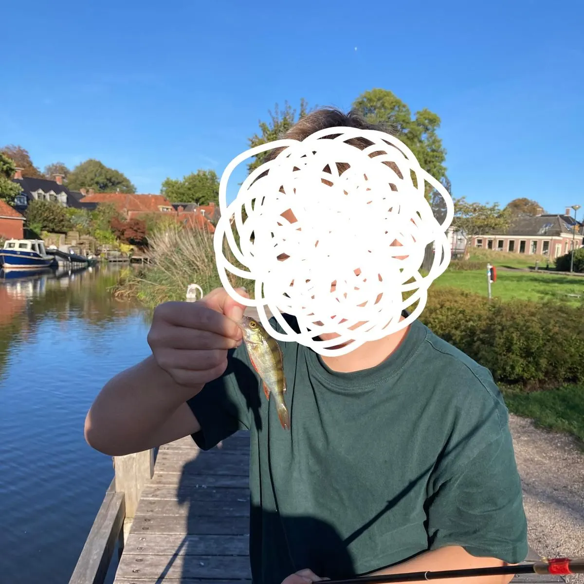 European perch caught on Fishbrain