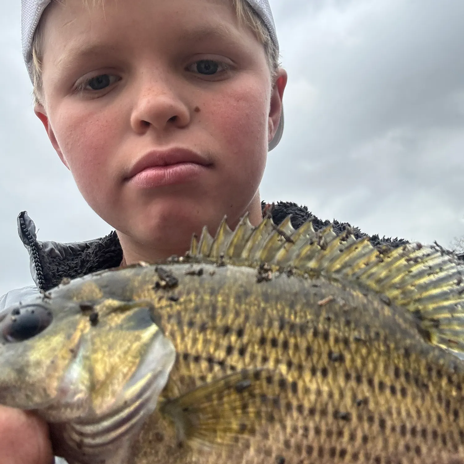 The most recent Shadow bass catches on Fishbrain