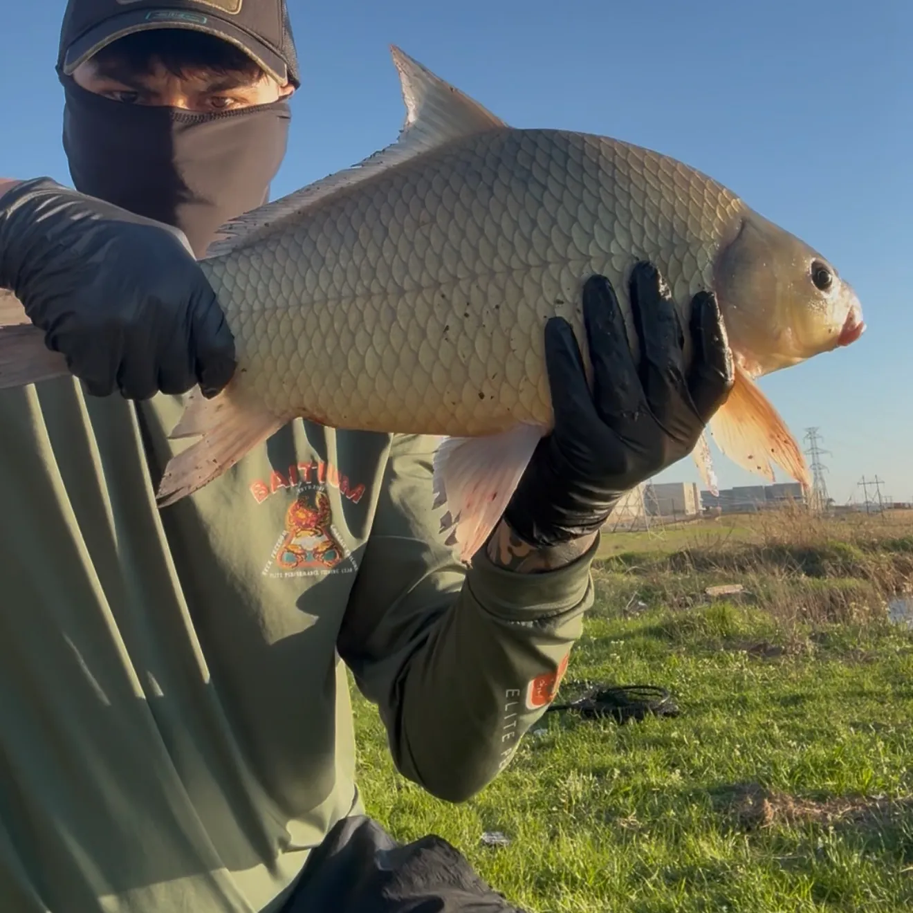 The most recent Smallmouth x black buffalo catches on Fishbrain