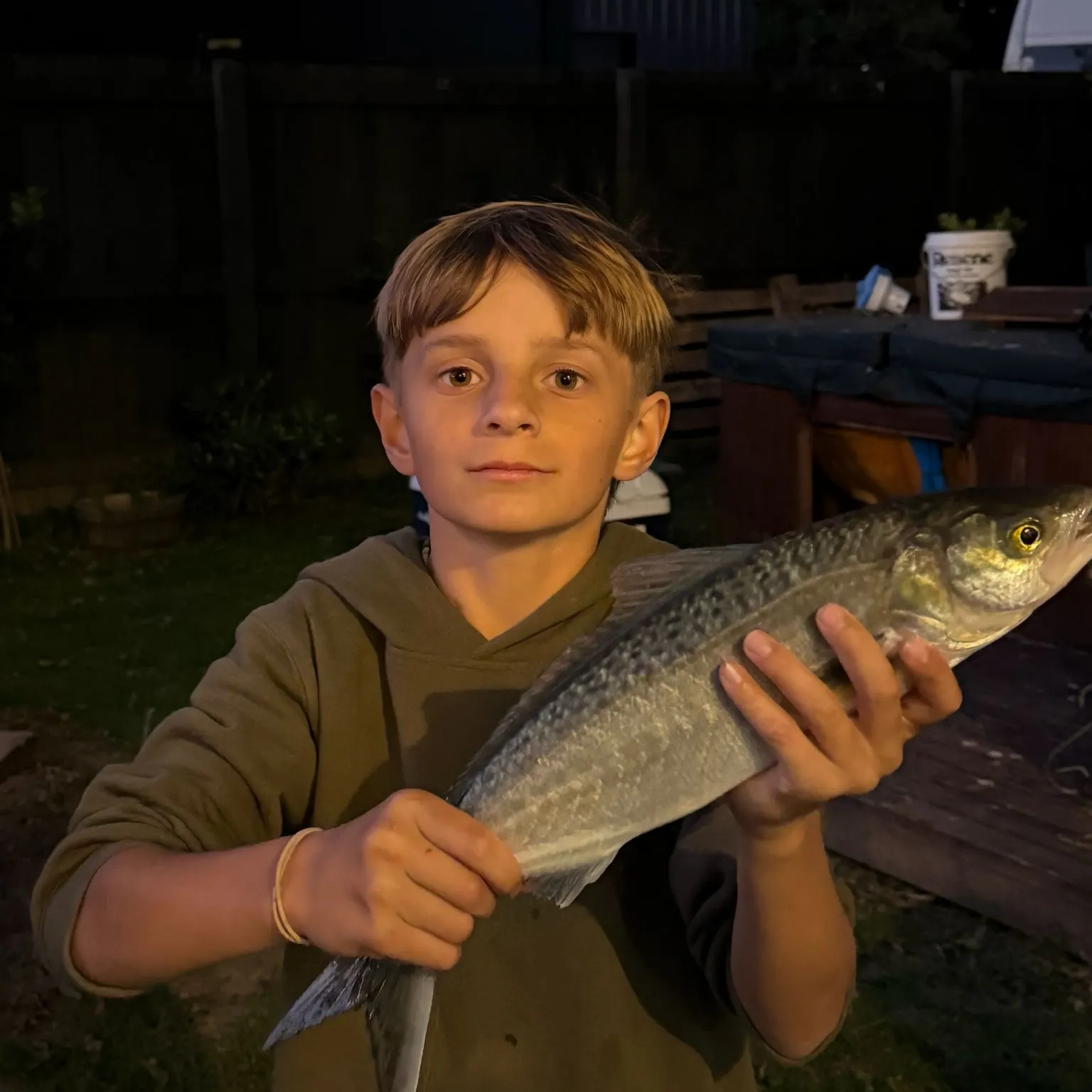 Eastern Australian salmon caught on Fishbrain