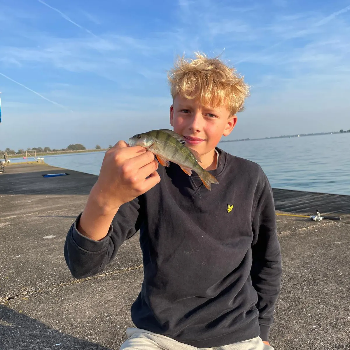 European perch caught on Fishbrain