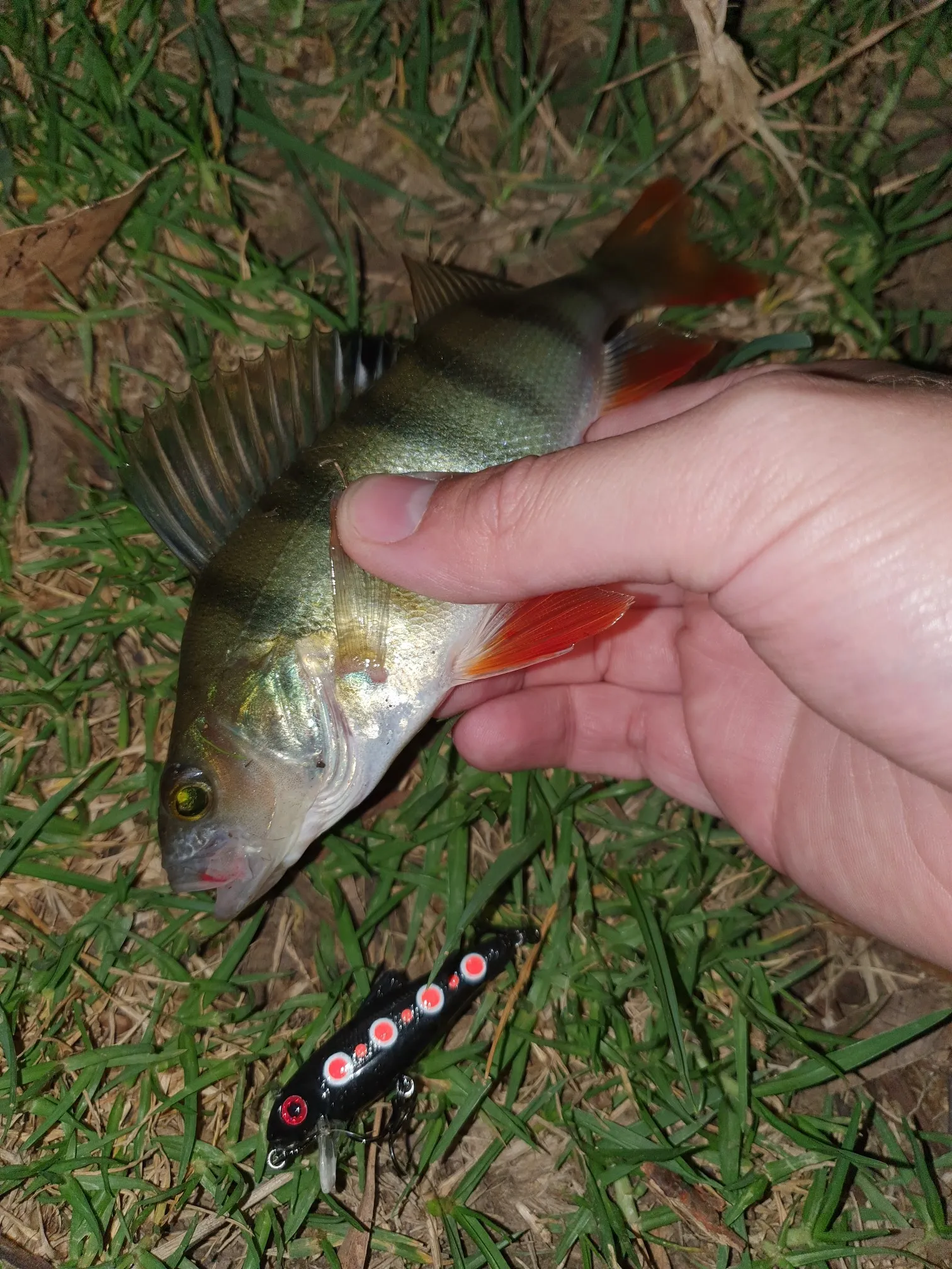 Post image from mruey