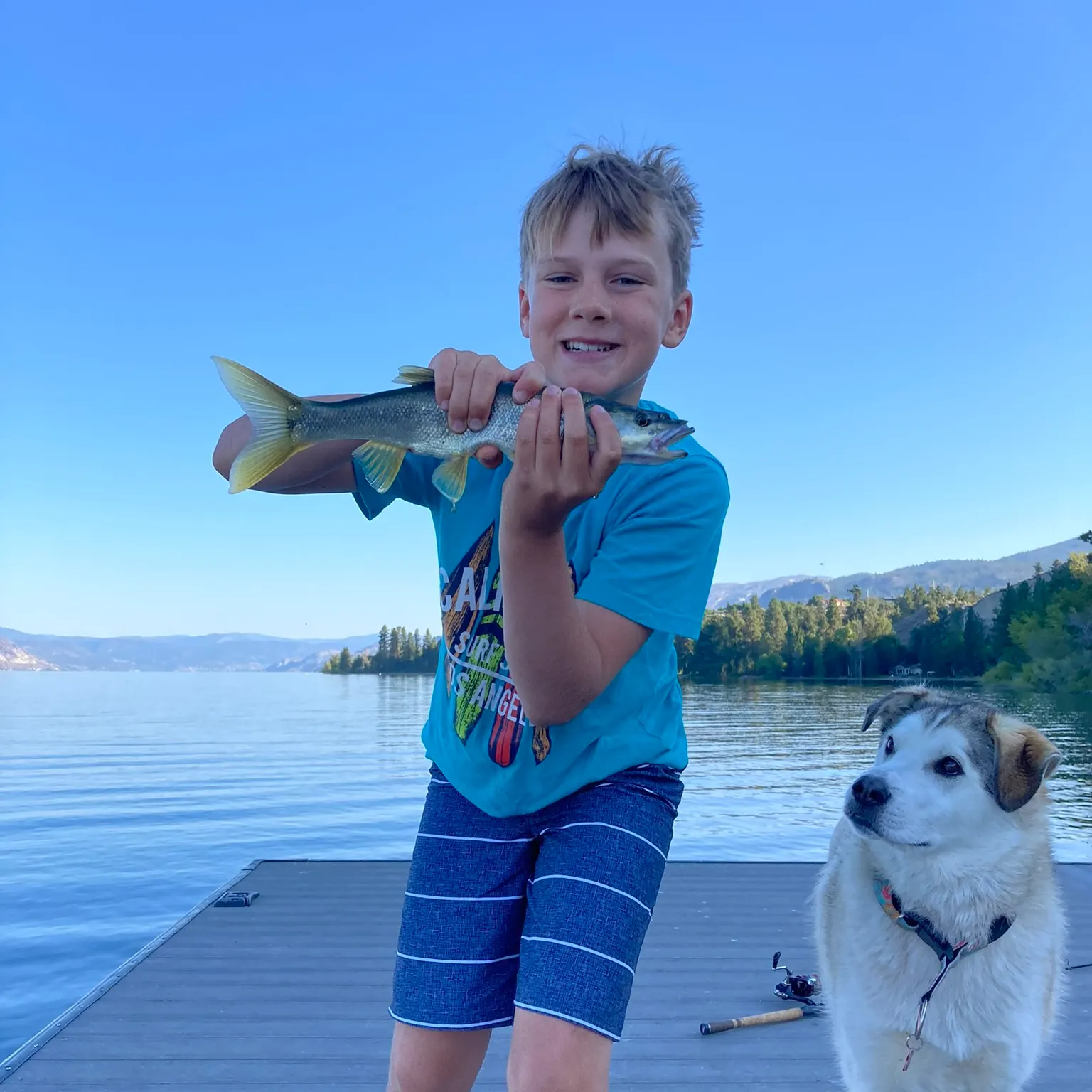 The most recent Northern pikeminnow catches on Fishbrain