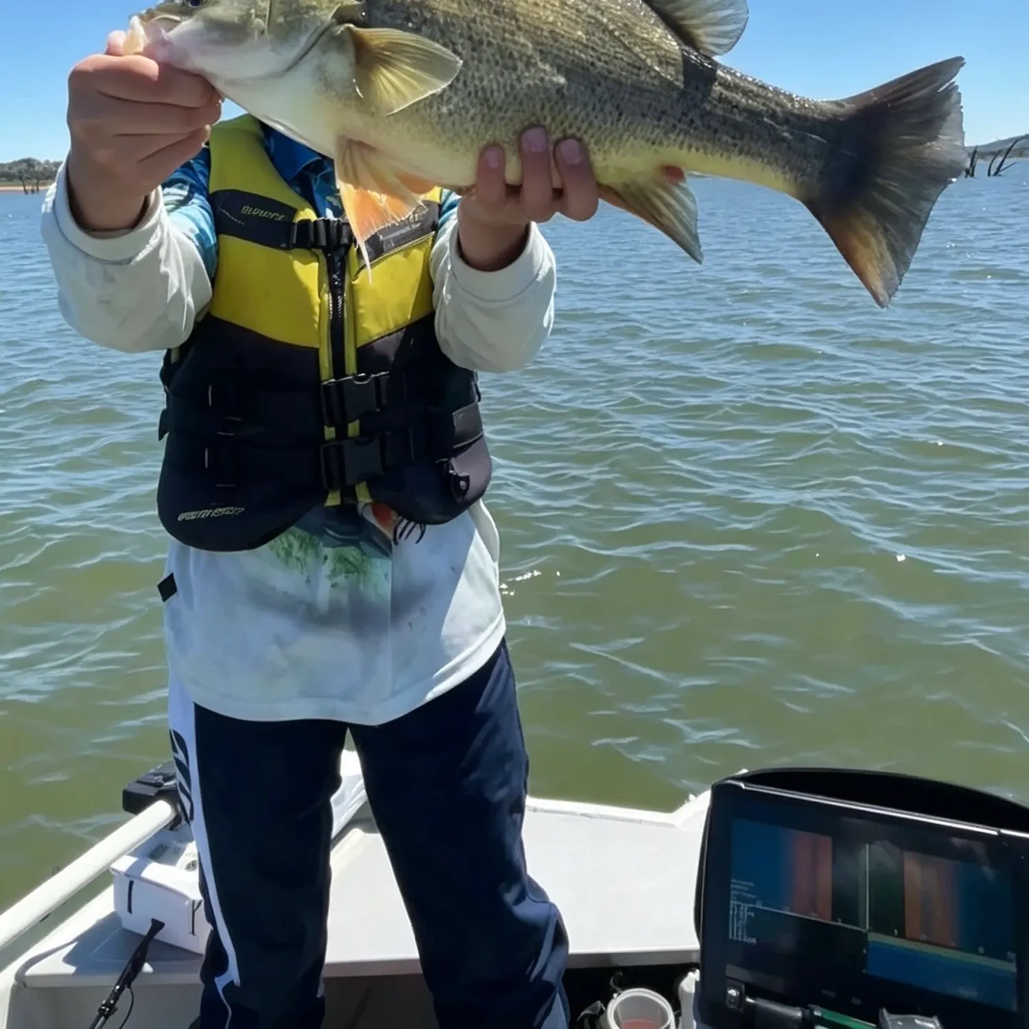 Golden perch caught on Fishbrain