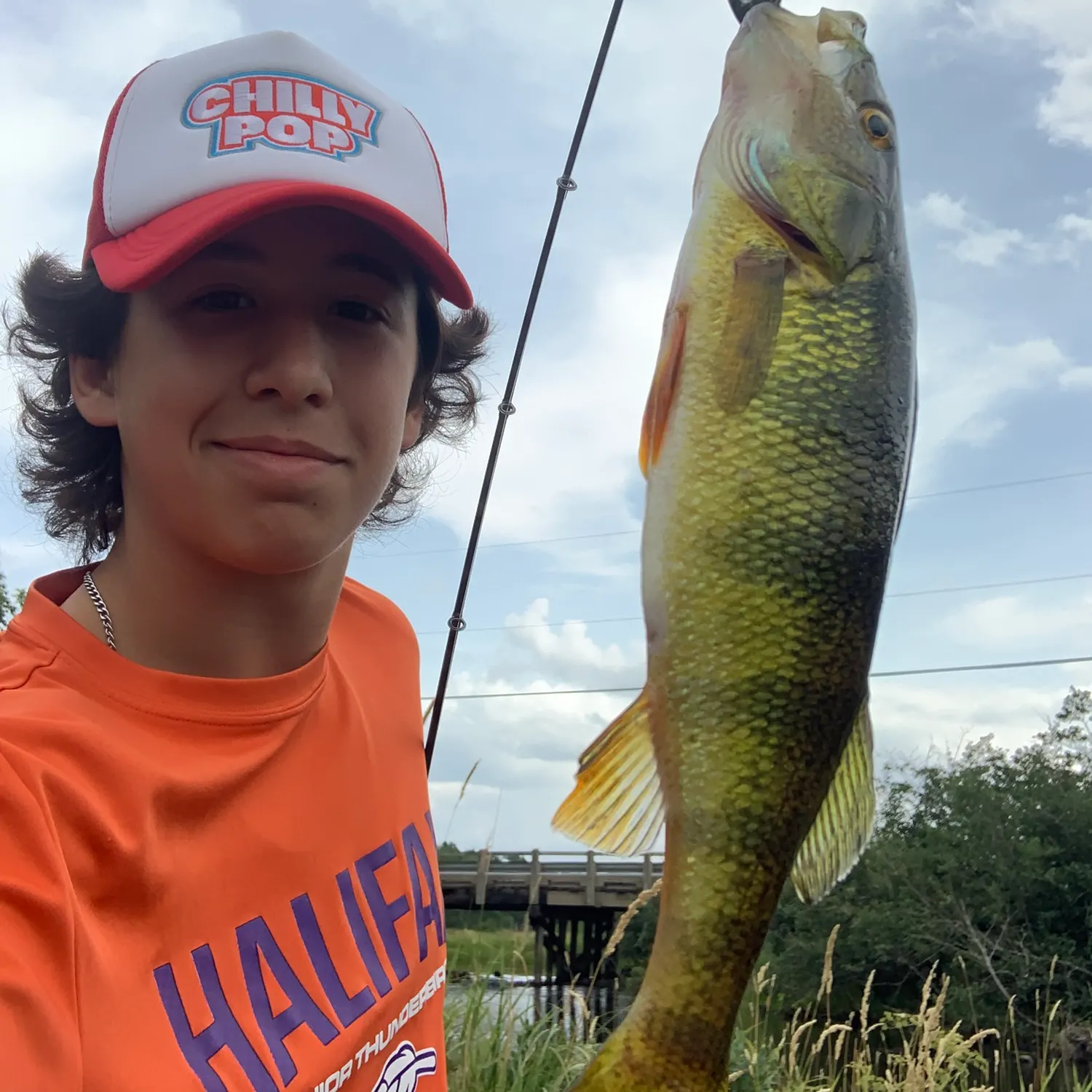 Yellow perch caught on Fishbrain