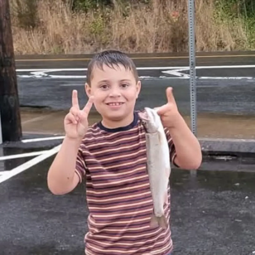 Rainbow trout caught on Fishbrain