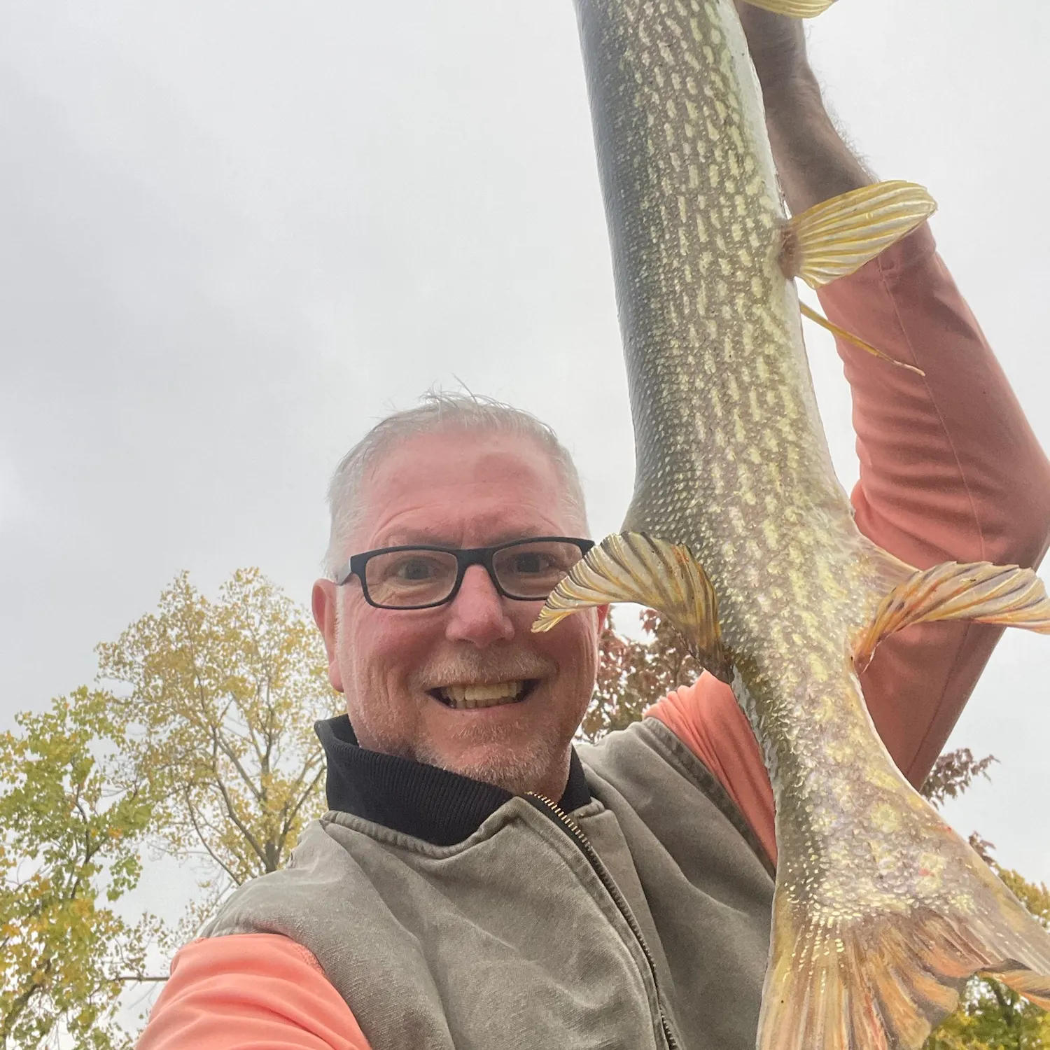Northern pike caught on Fishbrain