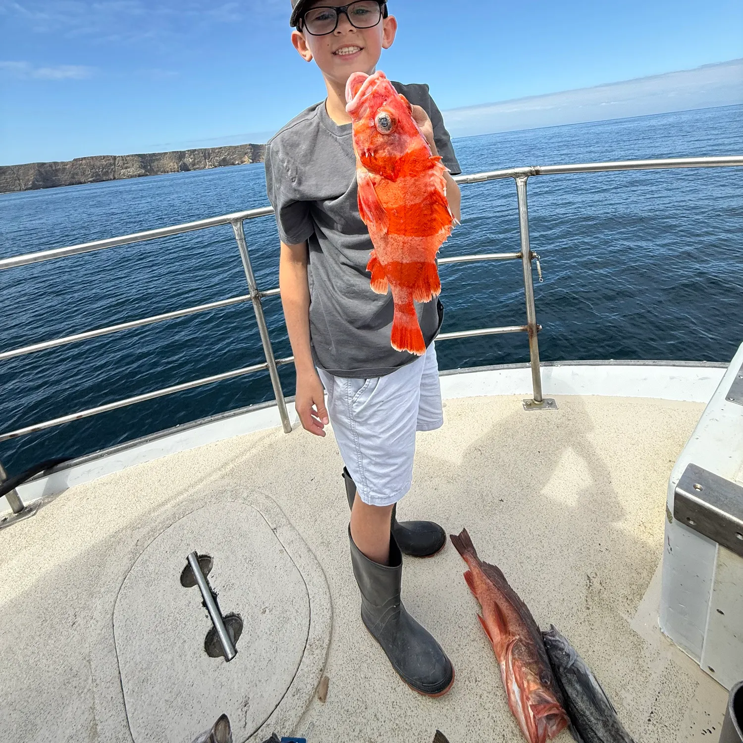 The most recent Redbanded rockfish catches on Fishbrain