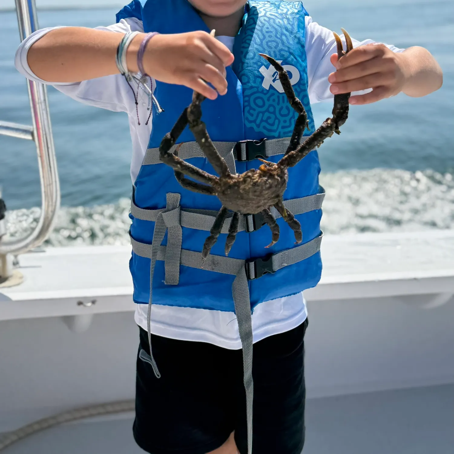 The most recent Opilio snow crab catches on Fishbrain