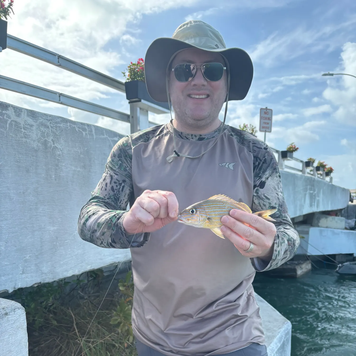 The most recent White grunt catches on Fishbrain