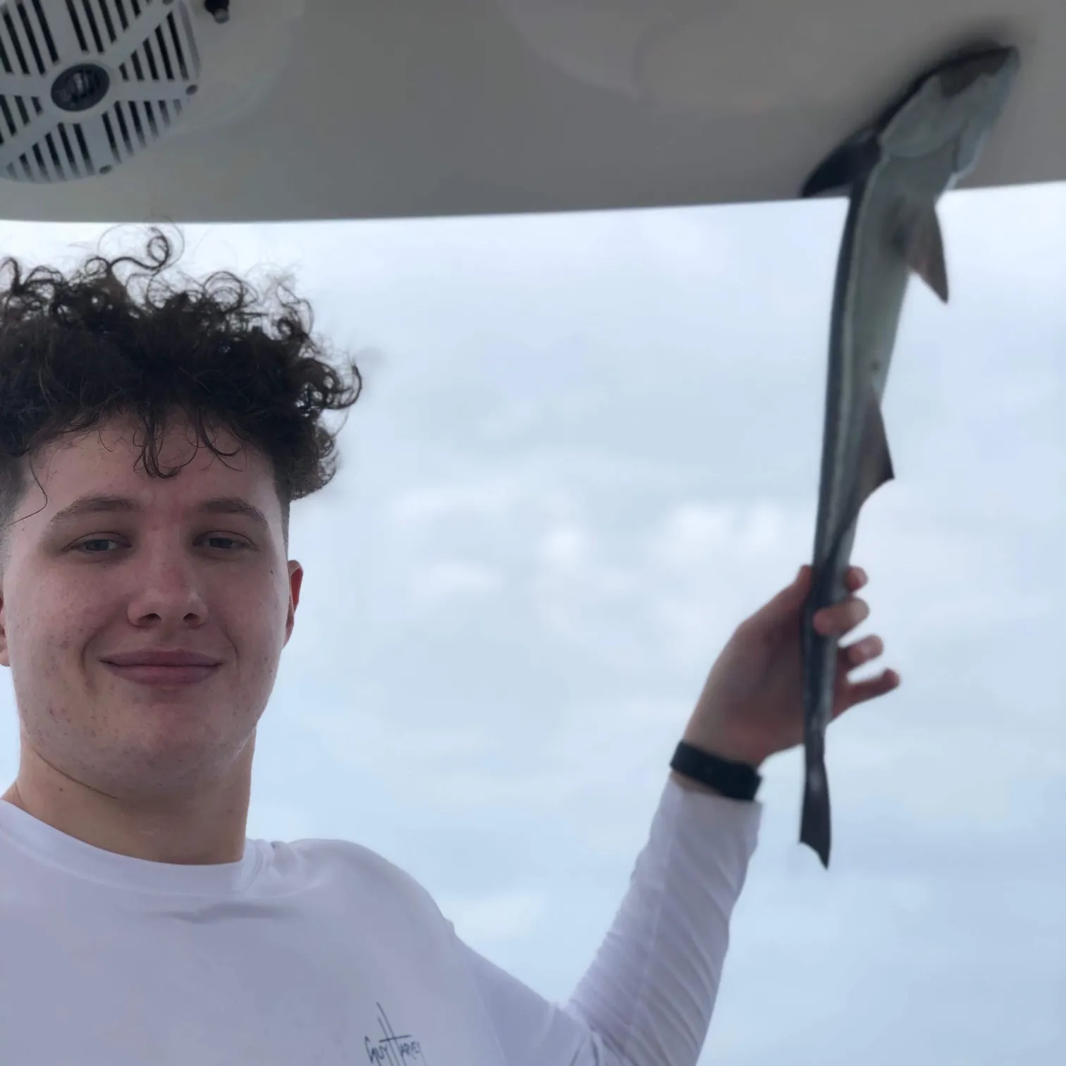 The most recent Marlin sucker catches on Fishbrain