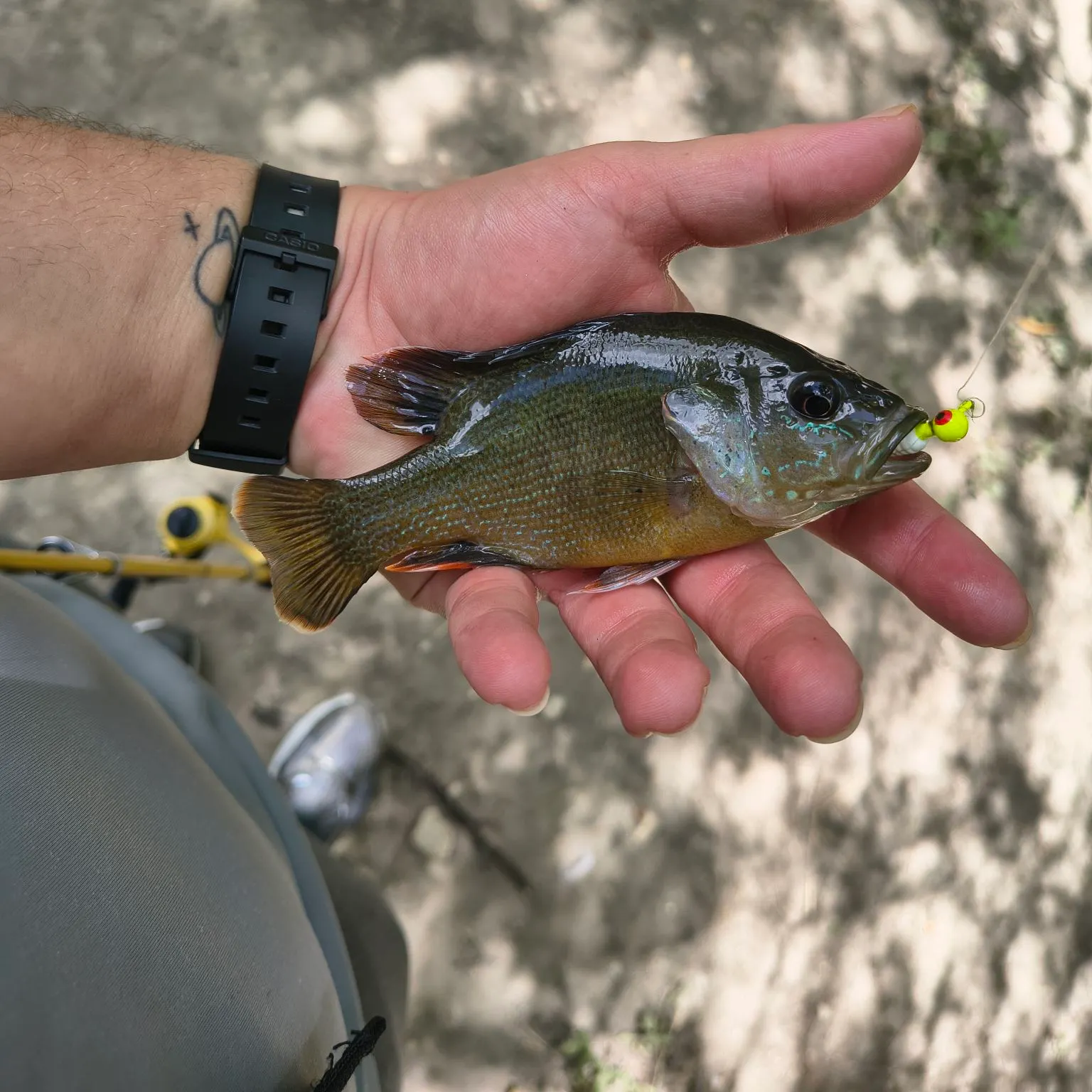 catch