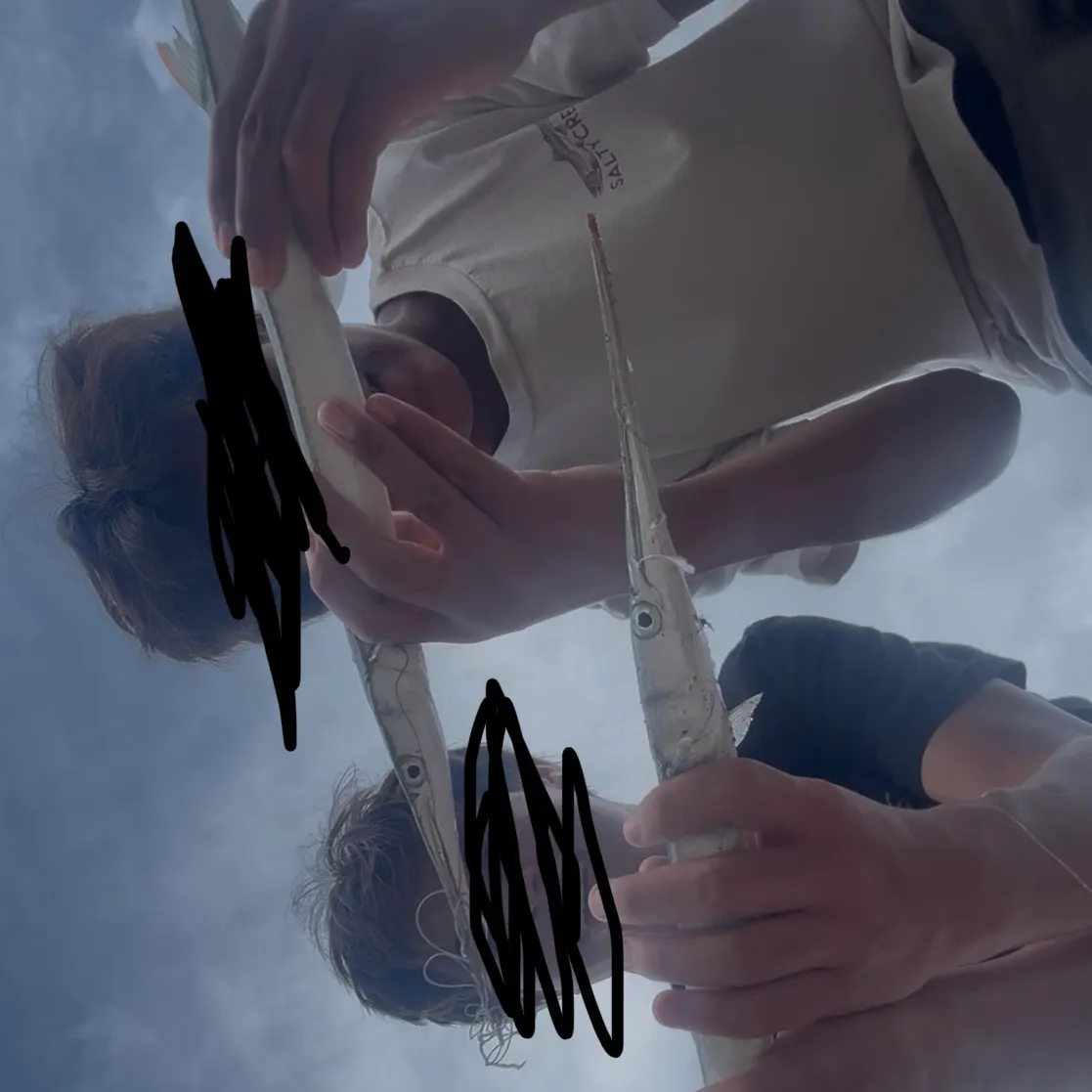 Hound needlefish caught on Fishbrain