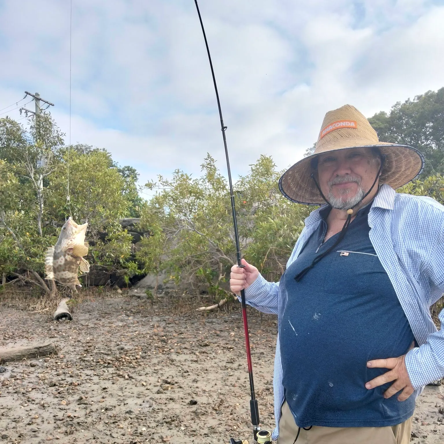 The most recent Pacific cod catches on Fishbrain