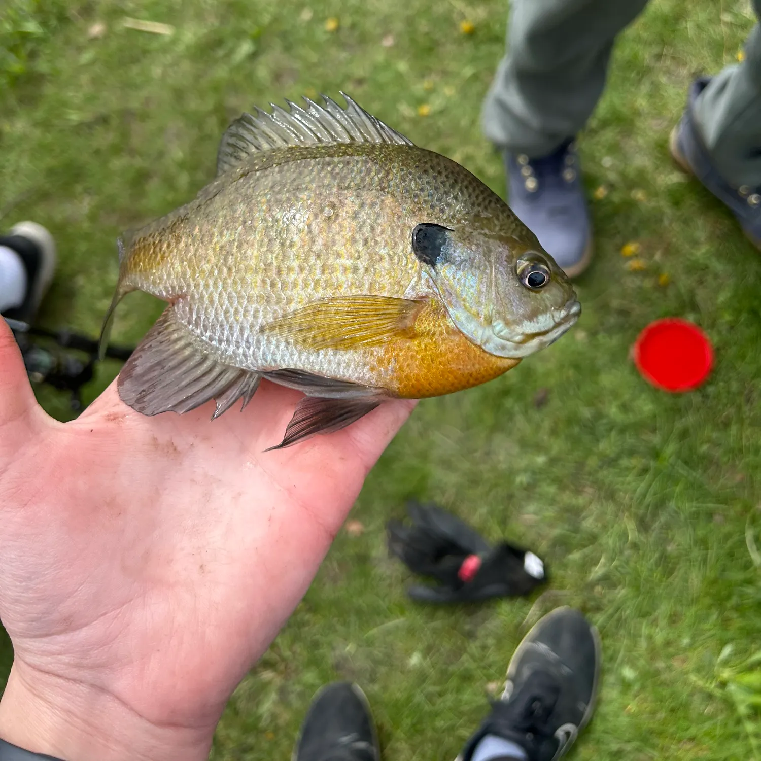 catch