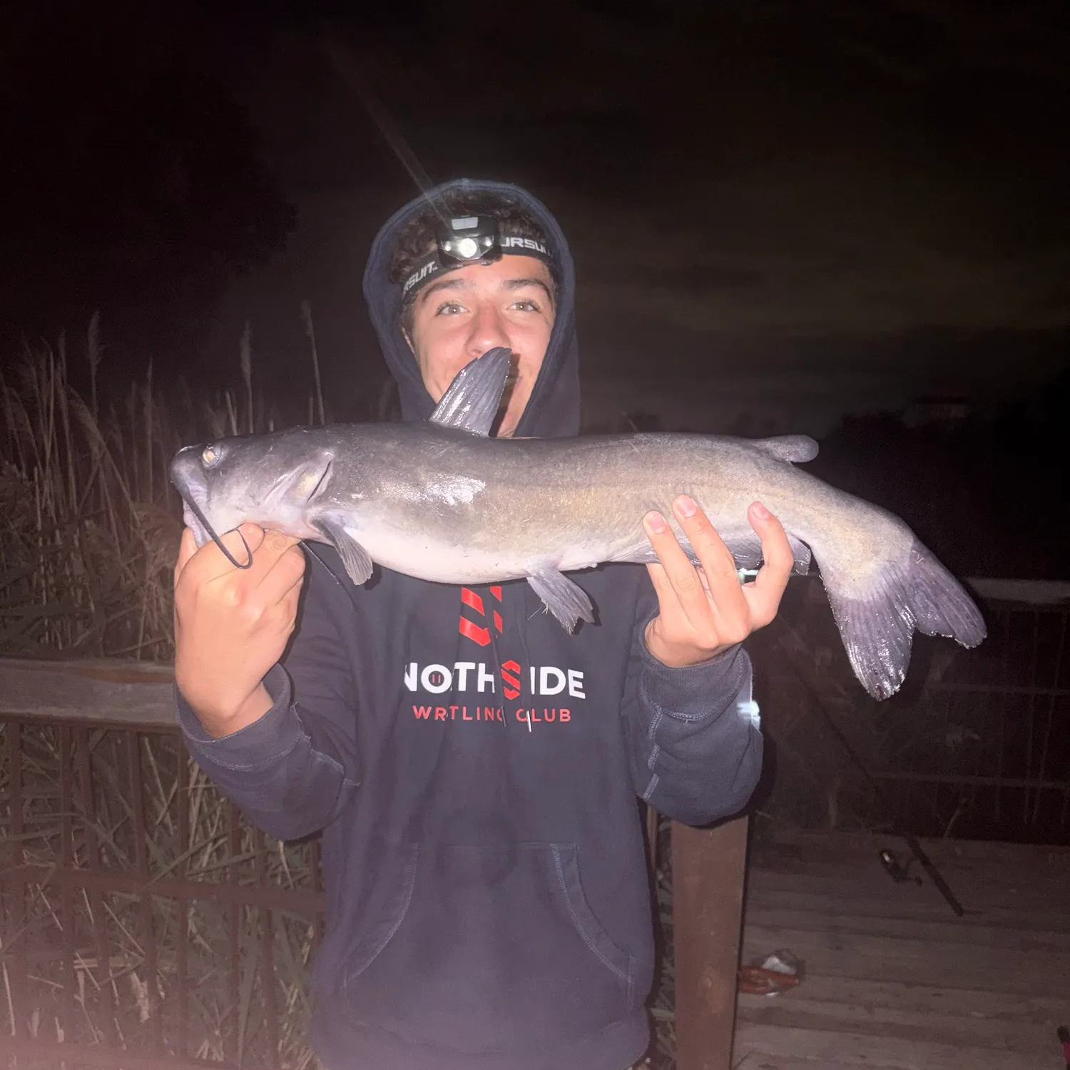 Channel catfish caught on Fishbrain