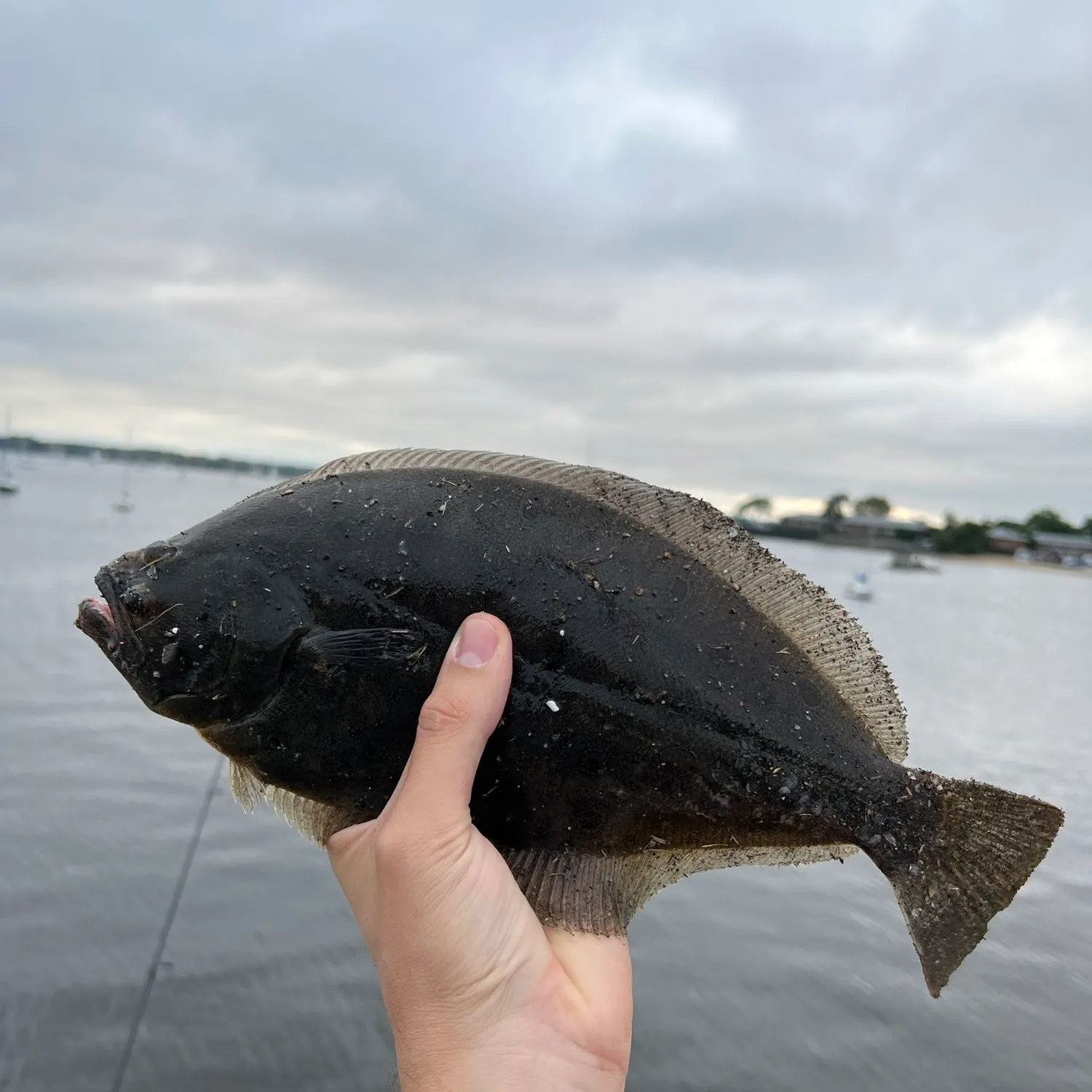 angler catch