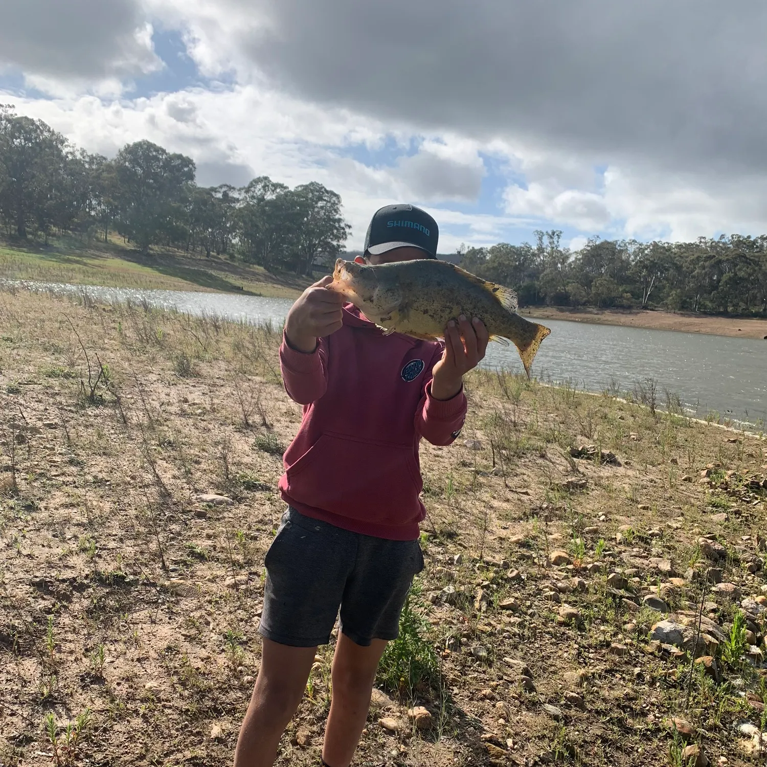 The most recent Golden perch catches on Fishbrain