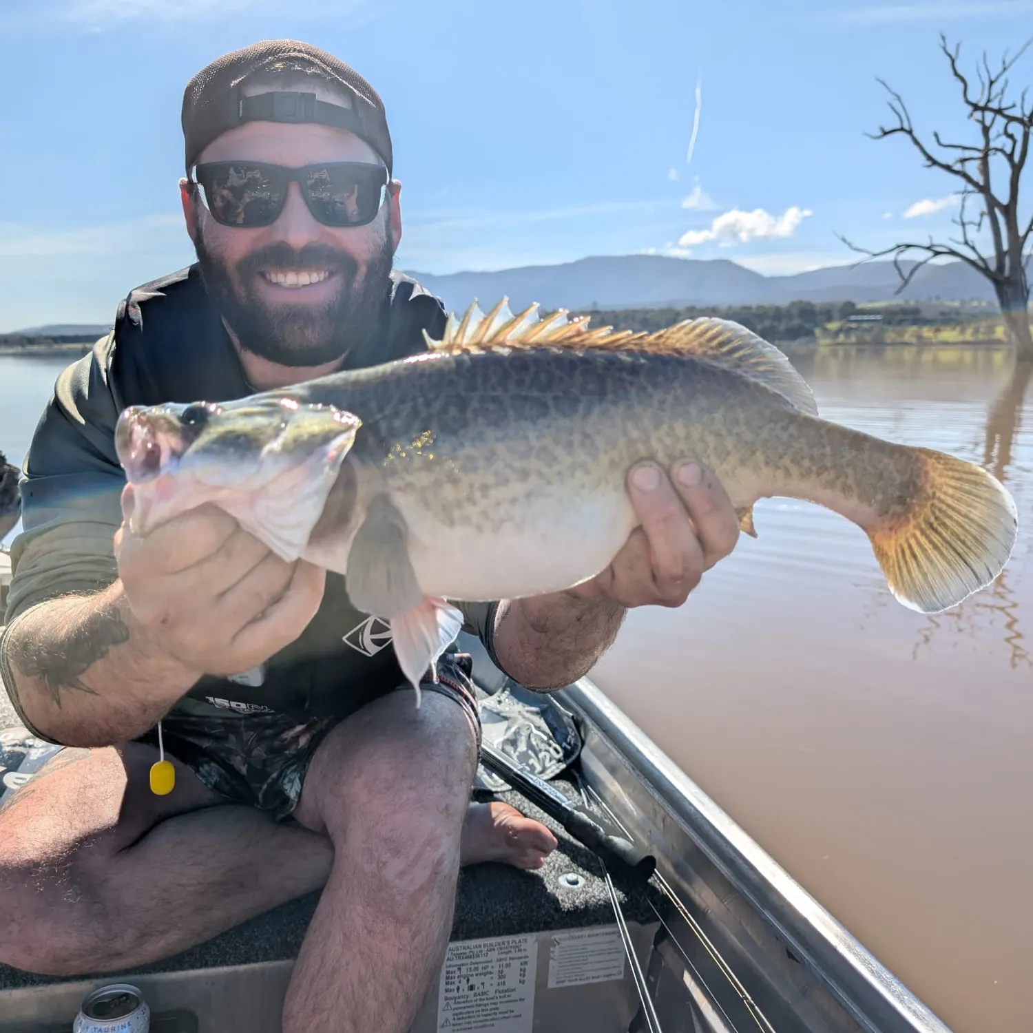 Murray cod caught on Fishbrain