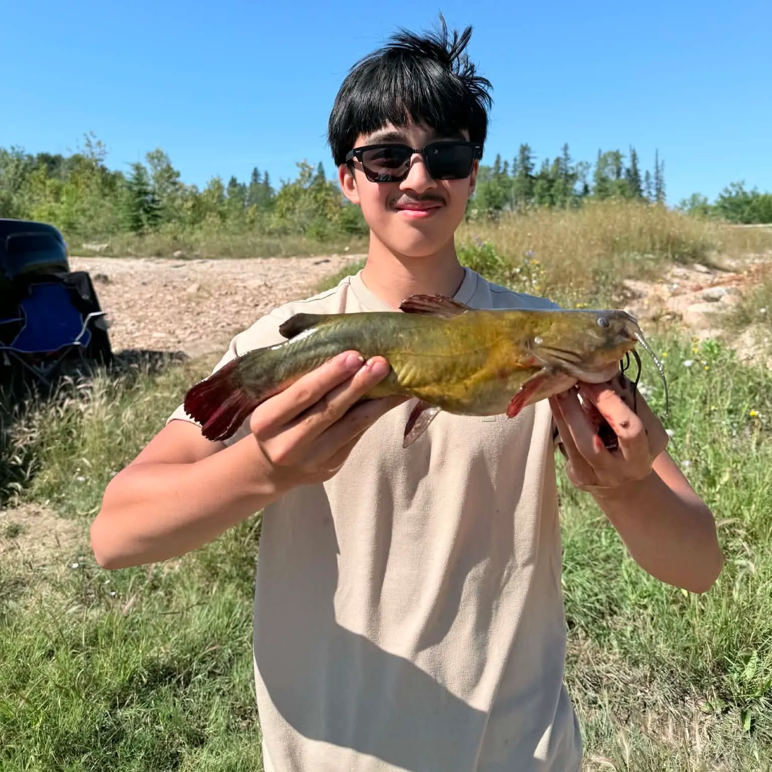 Brown bullhead caught on Fishbrain