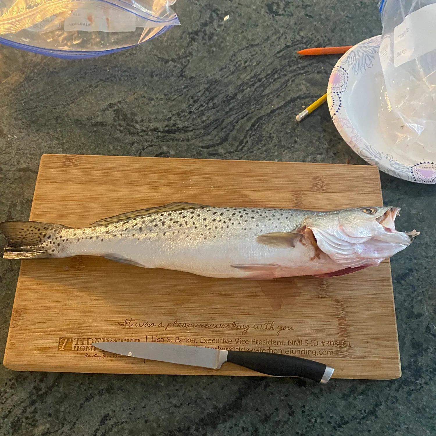 recently logged catches